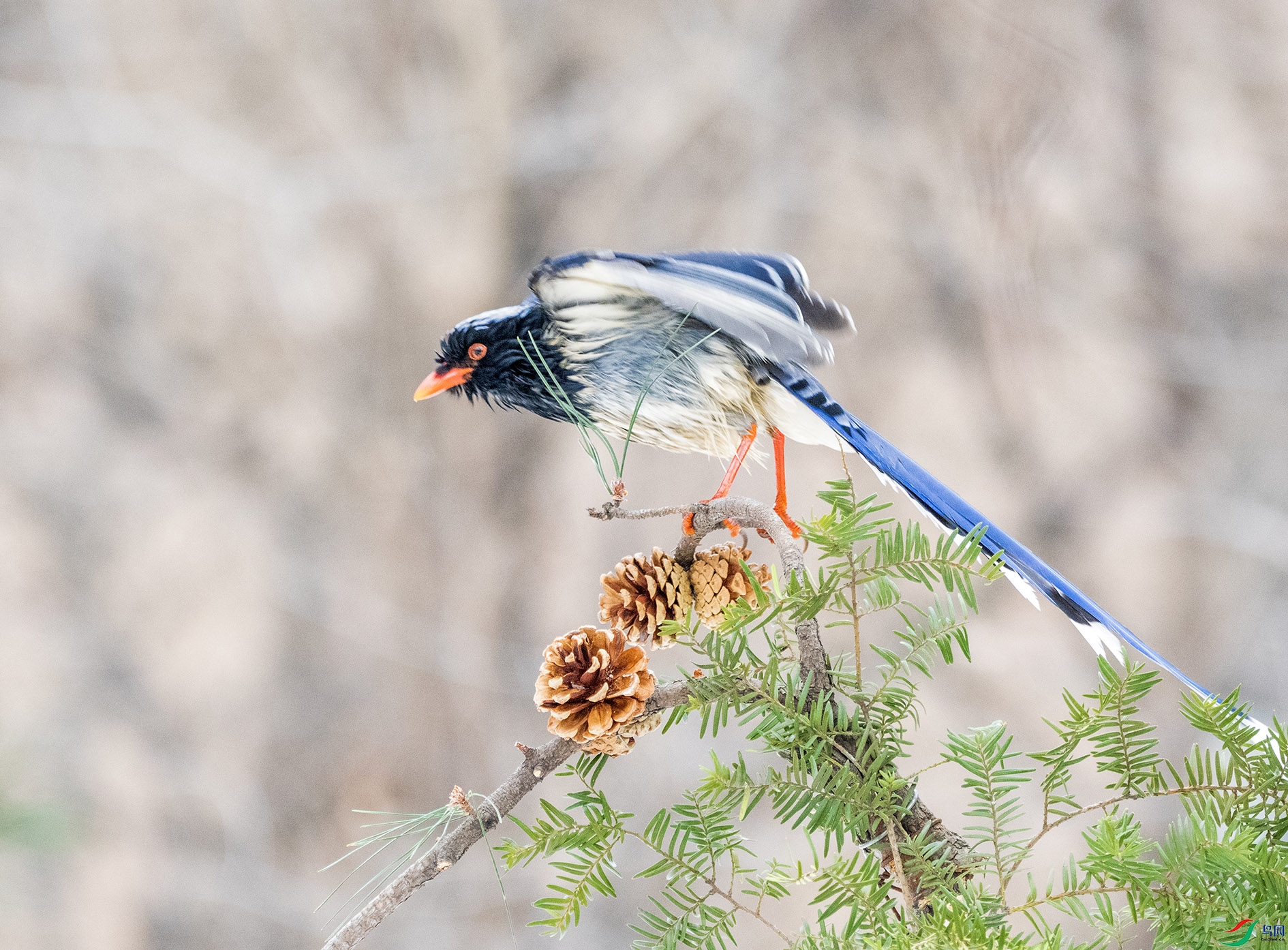 DSC_6538_��ͼ�� ����.jpg