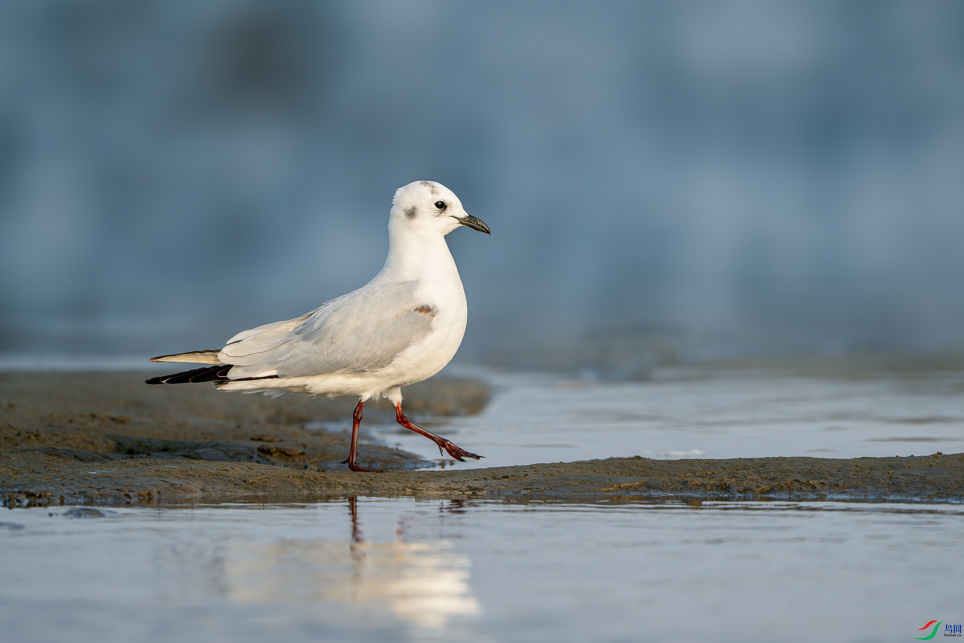 _DSC1695 ����_1.jpg