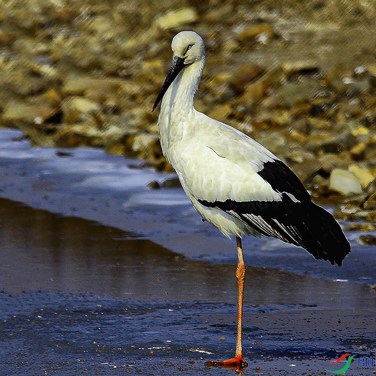 _MG_3700 ����.jpg