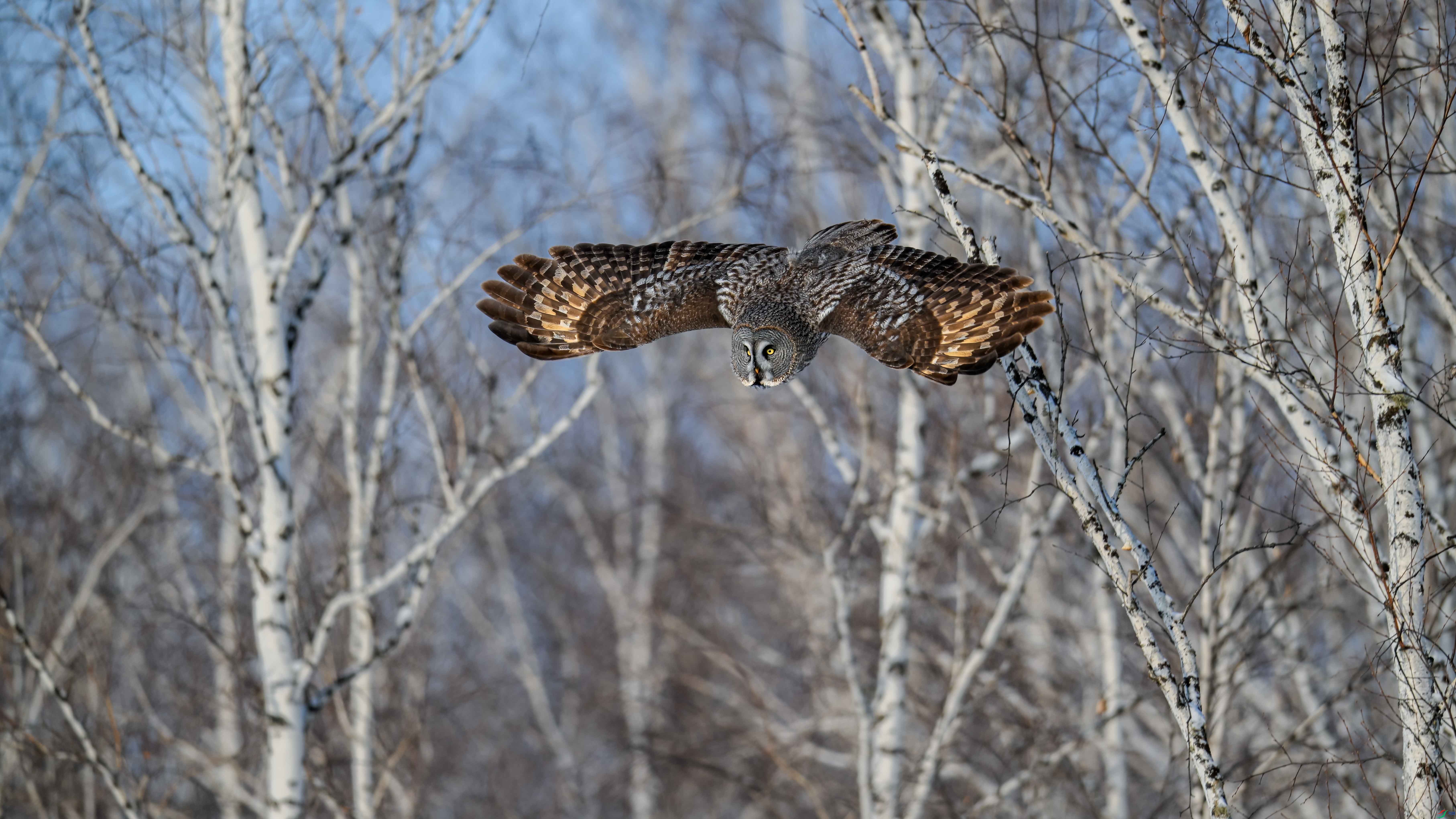 DSC_4528-3.jpg
