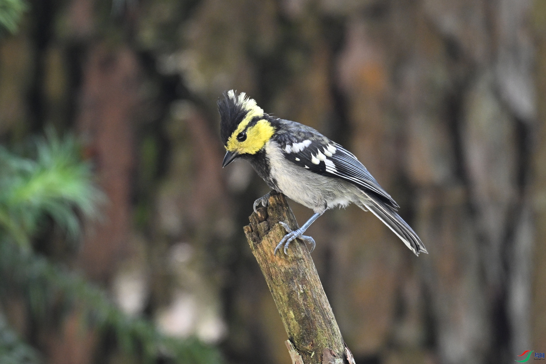 DSC_0082.JPG