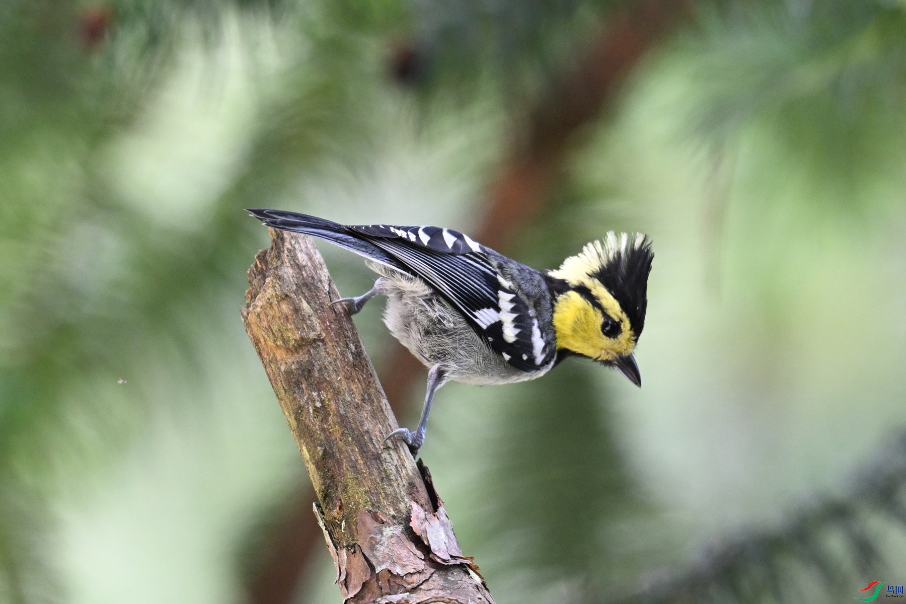 DSC_0116.JPG