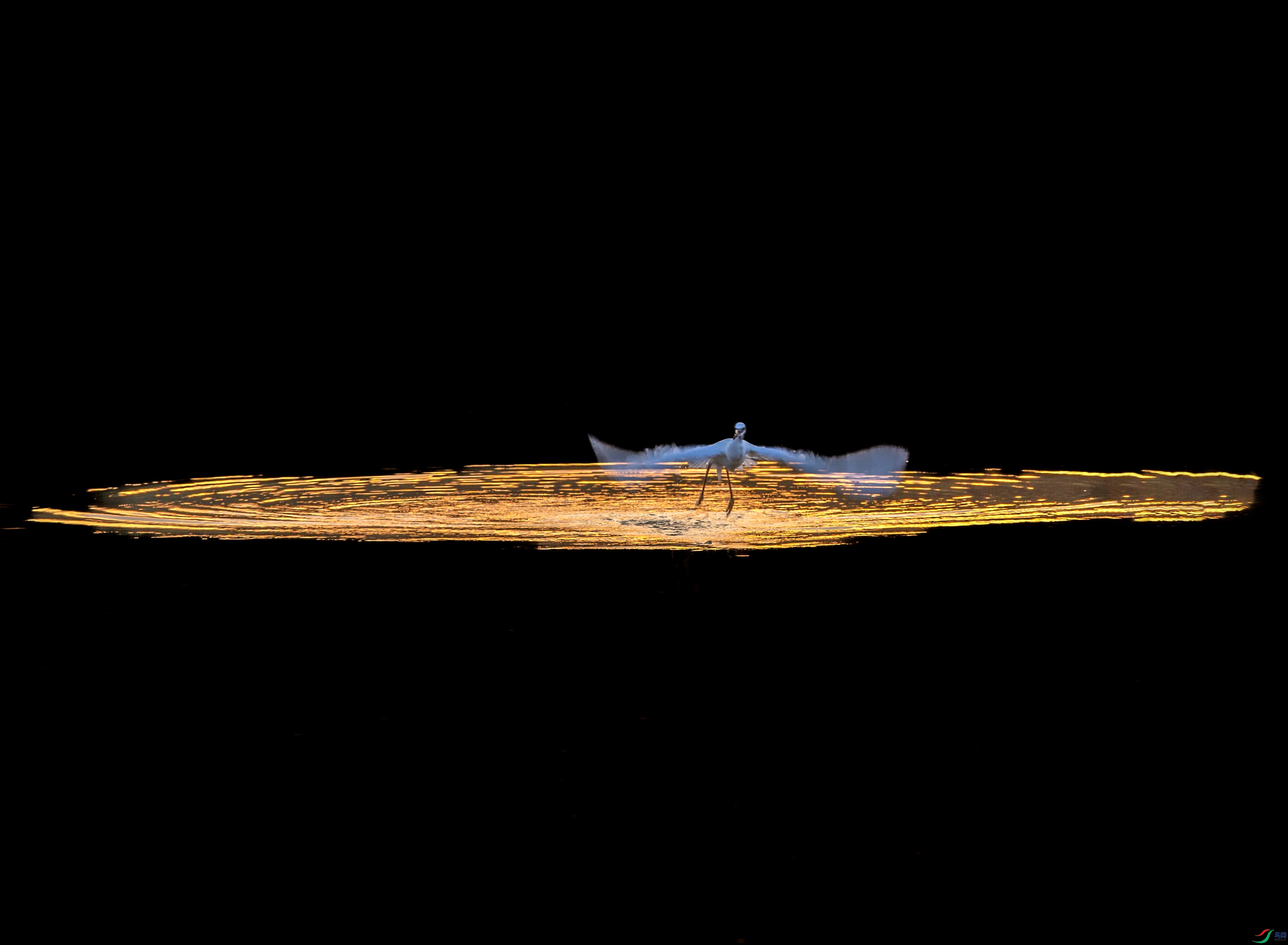 673A6850 ����.jpg