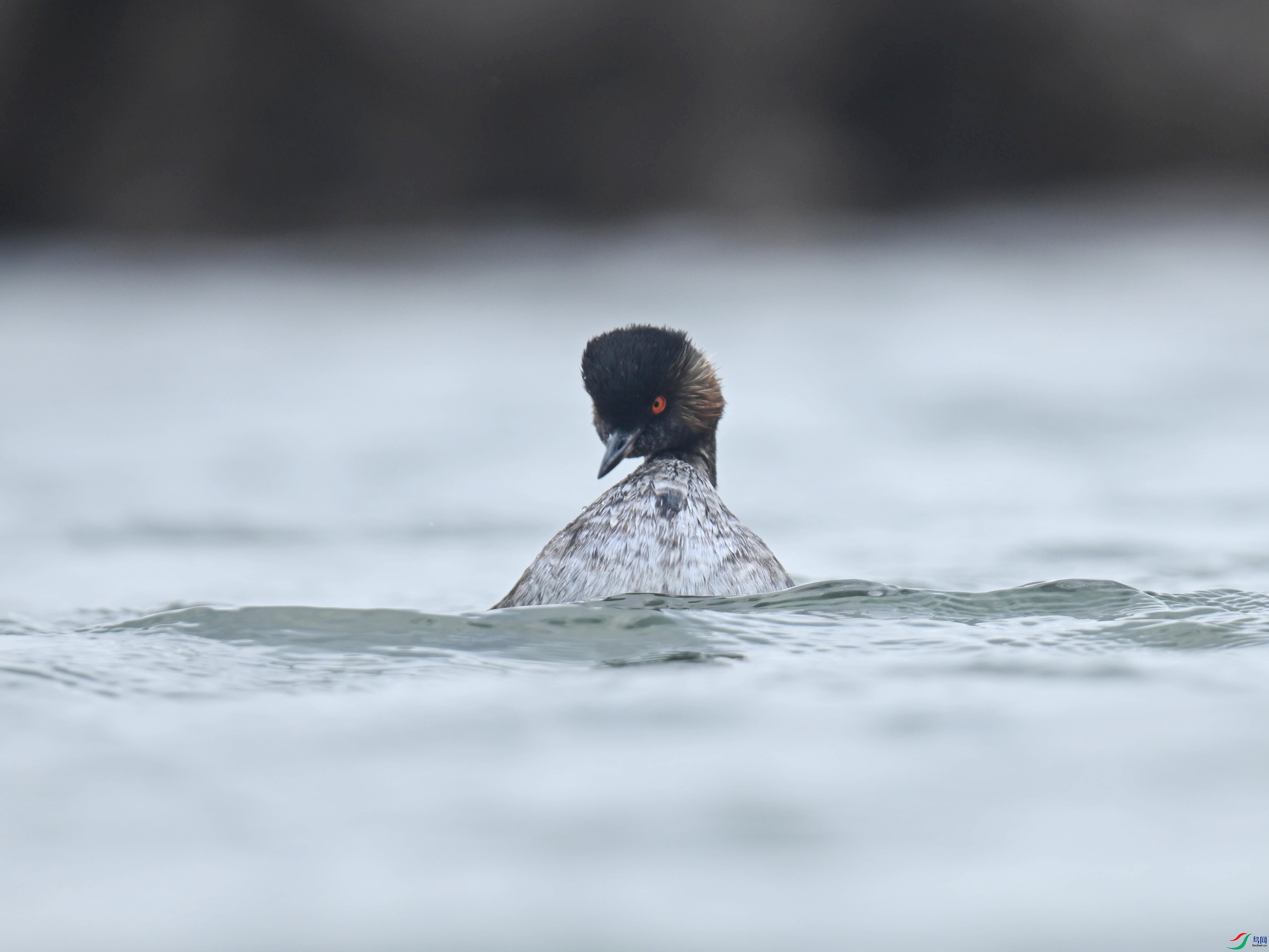 �ھ�PT (124).jpg