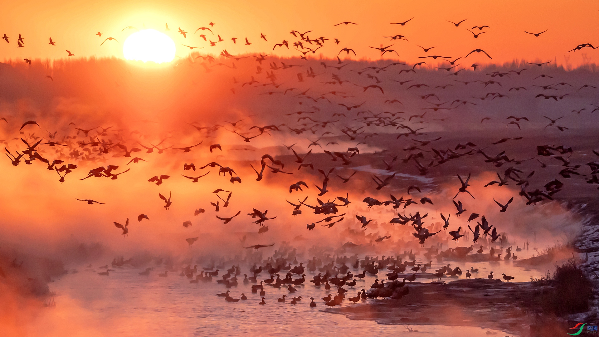 P1333312_��ͼ�� ����_����.jpg