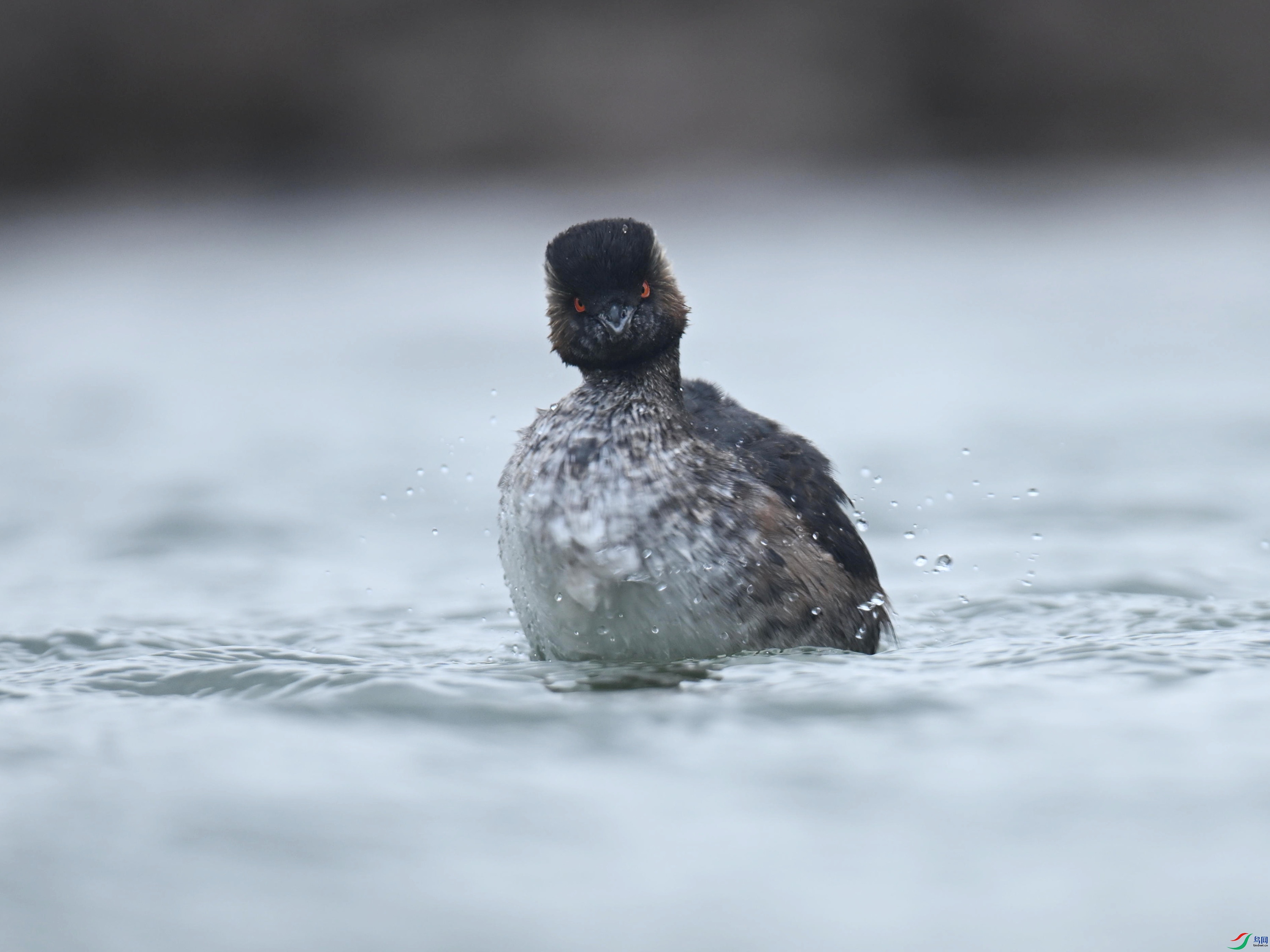 �ھ�PT (134).jpg