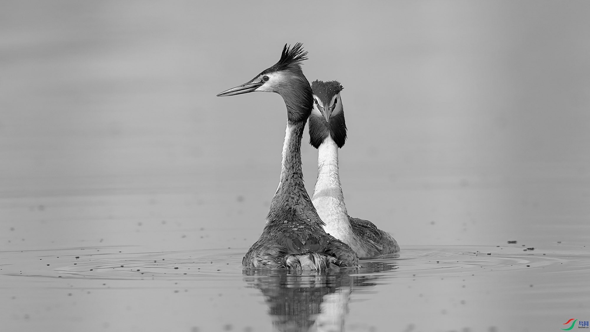 ABDSC06772 ����H.jpg