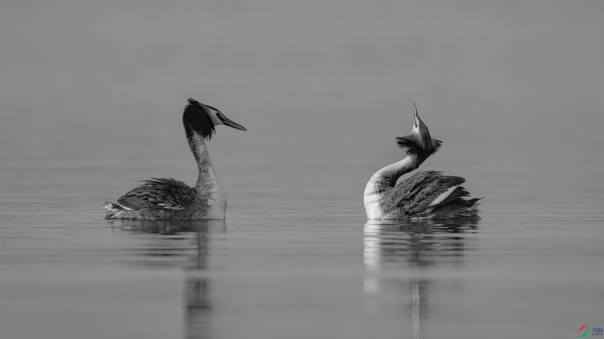 ABDSC06859 ����H.jpg