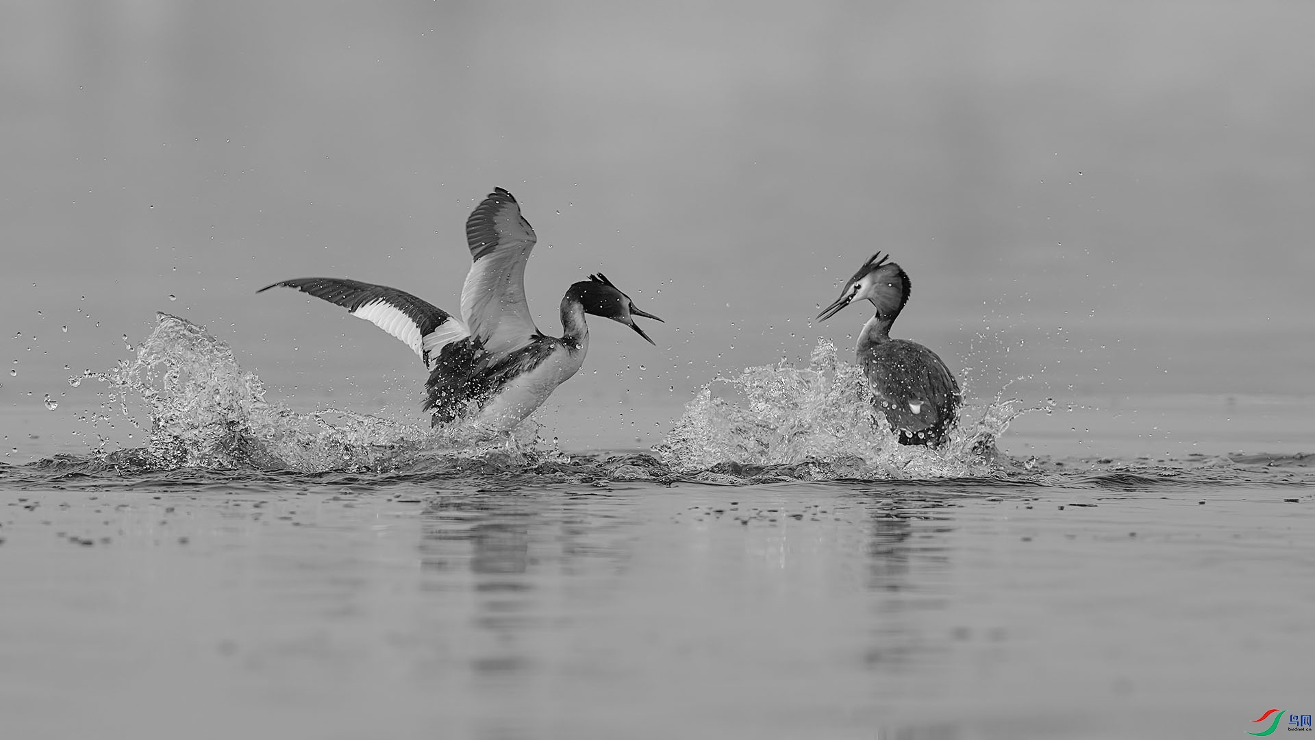 DSC06702 ����XH.jpg