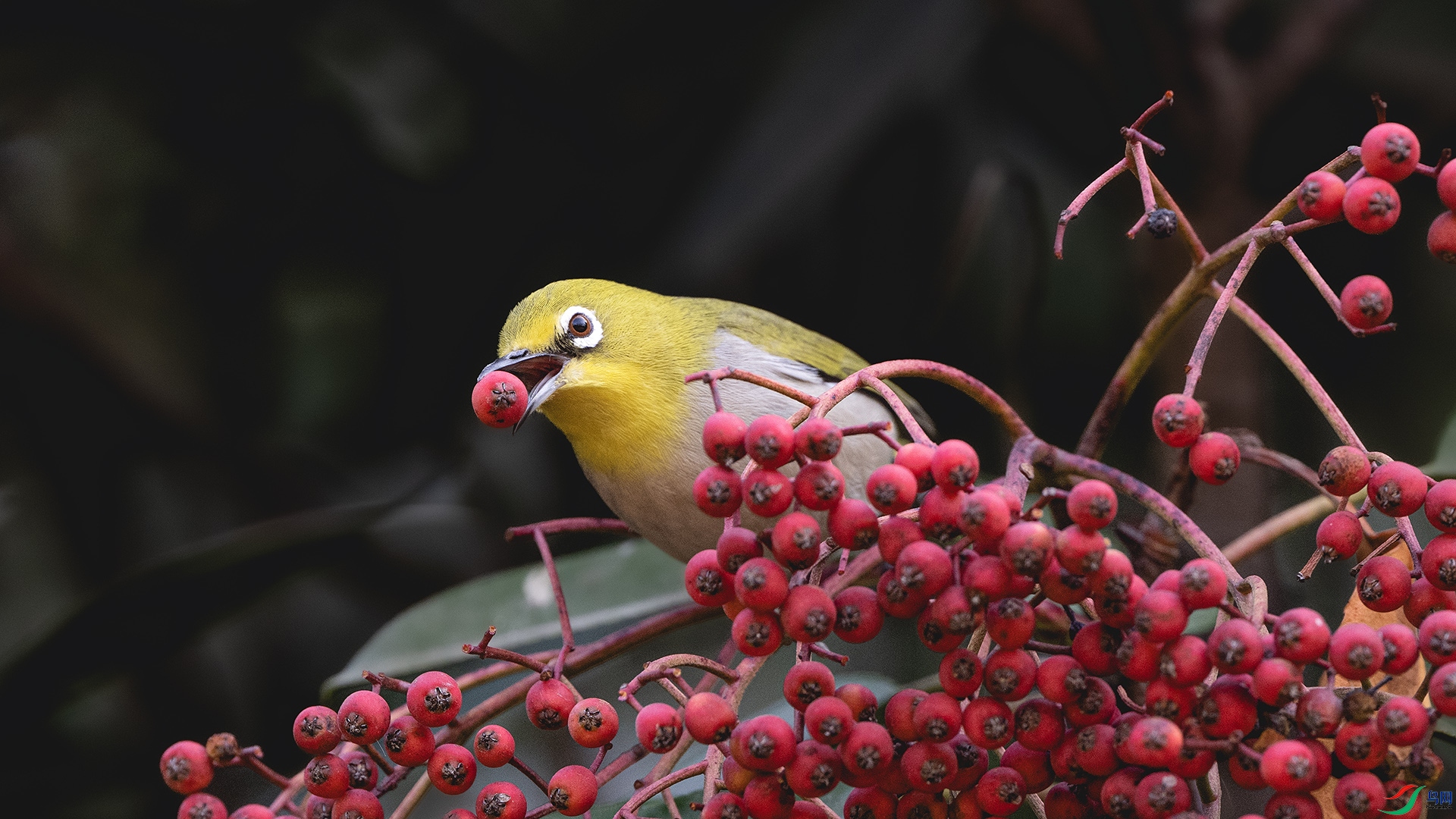 DSC_8586 ����.jpg