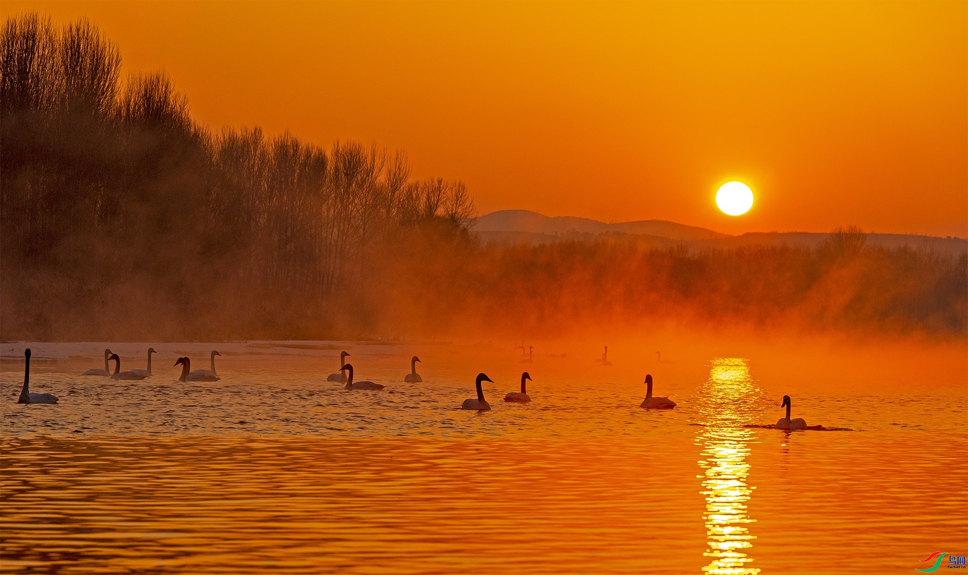 1.13���������ʦ��Ʒ   ����ӵ��糿 ��ף���ٻ����������.jpg