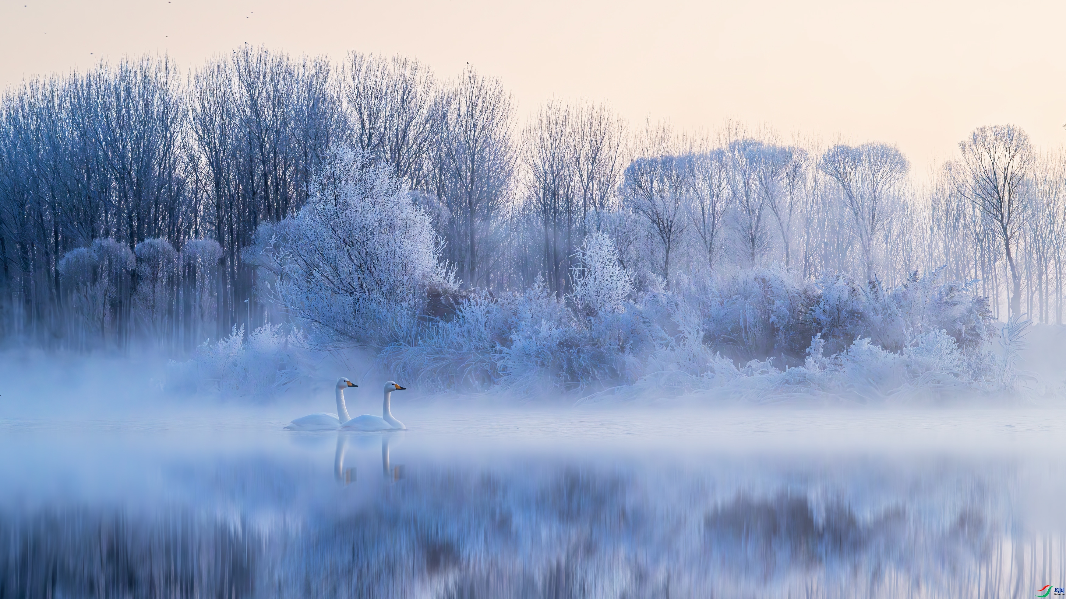 1.15����һɫYU��ʦ��Ʒ   ����ѩ�� ��ף���ٻ�ÿ��һͼ��.jpg