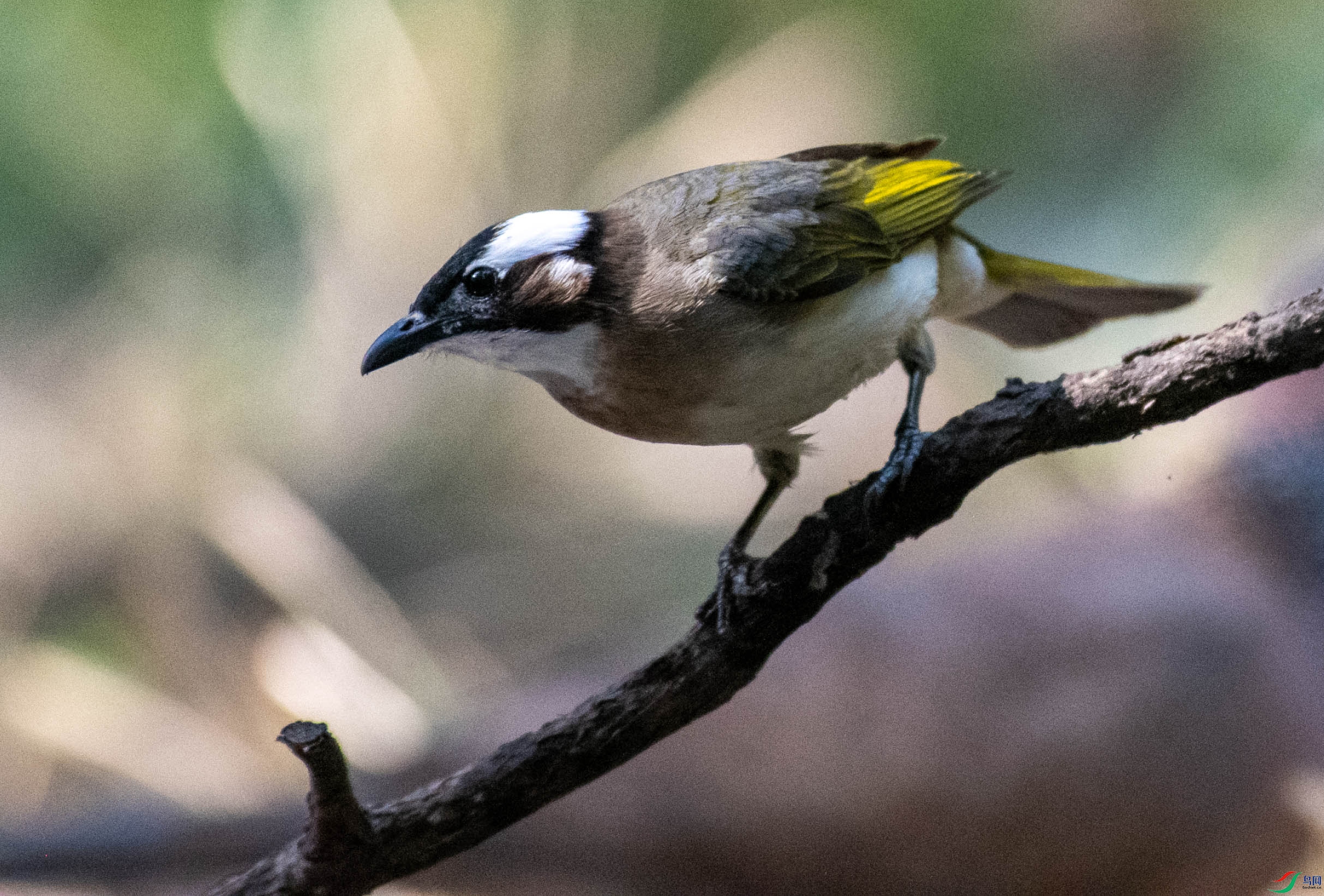 DSC_3114.jpg