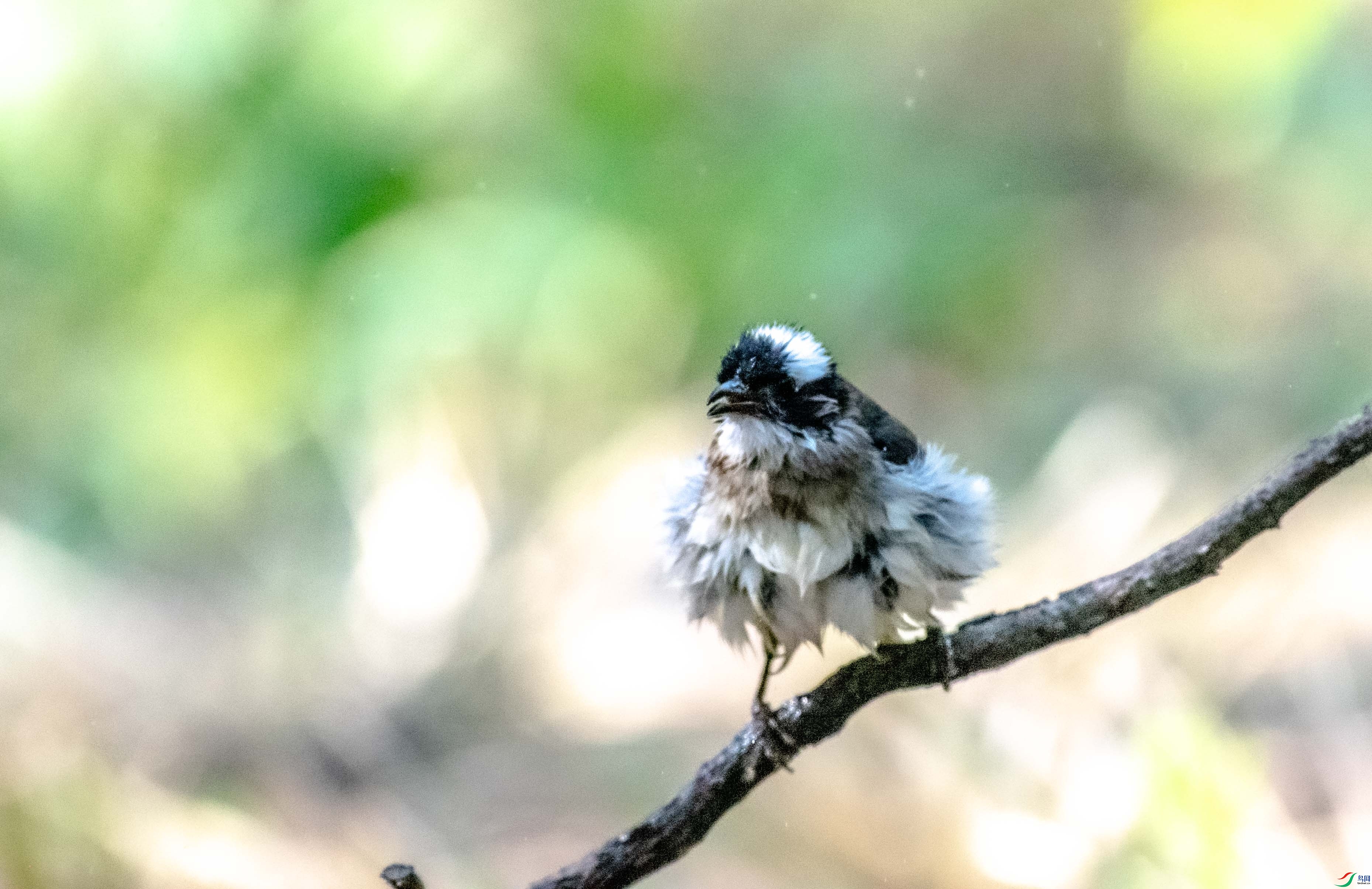 DSC_3169.jpg
