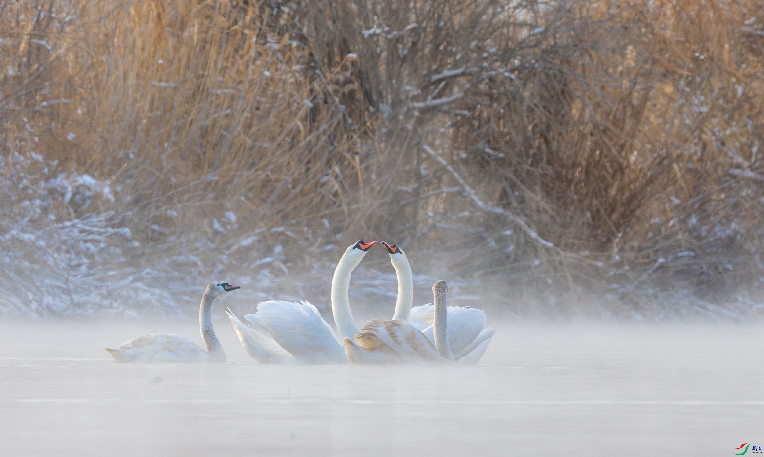 DSC_2110-����ǿ-NR-11.jpg