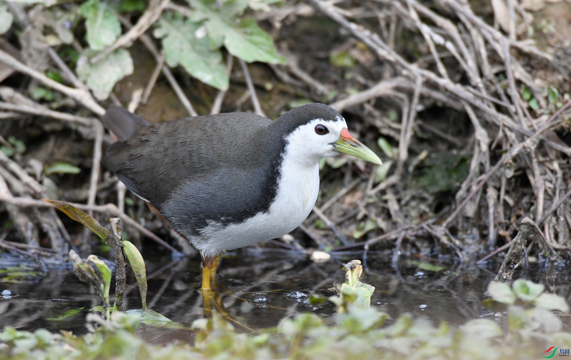 DSC_1645.jpg