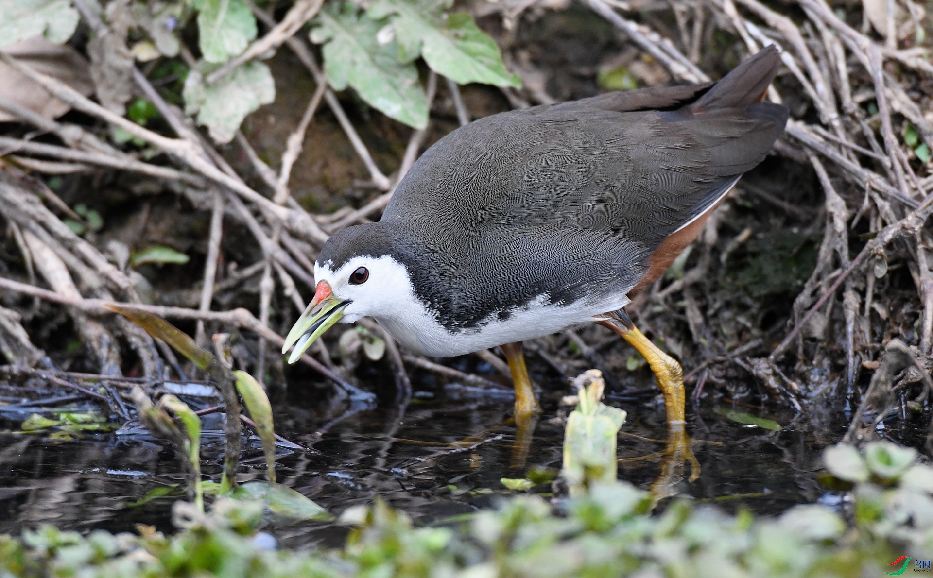 DSC_1676.jpg