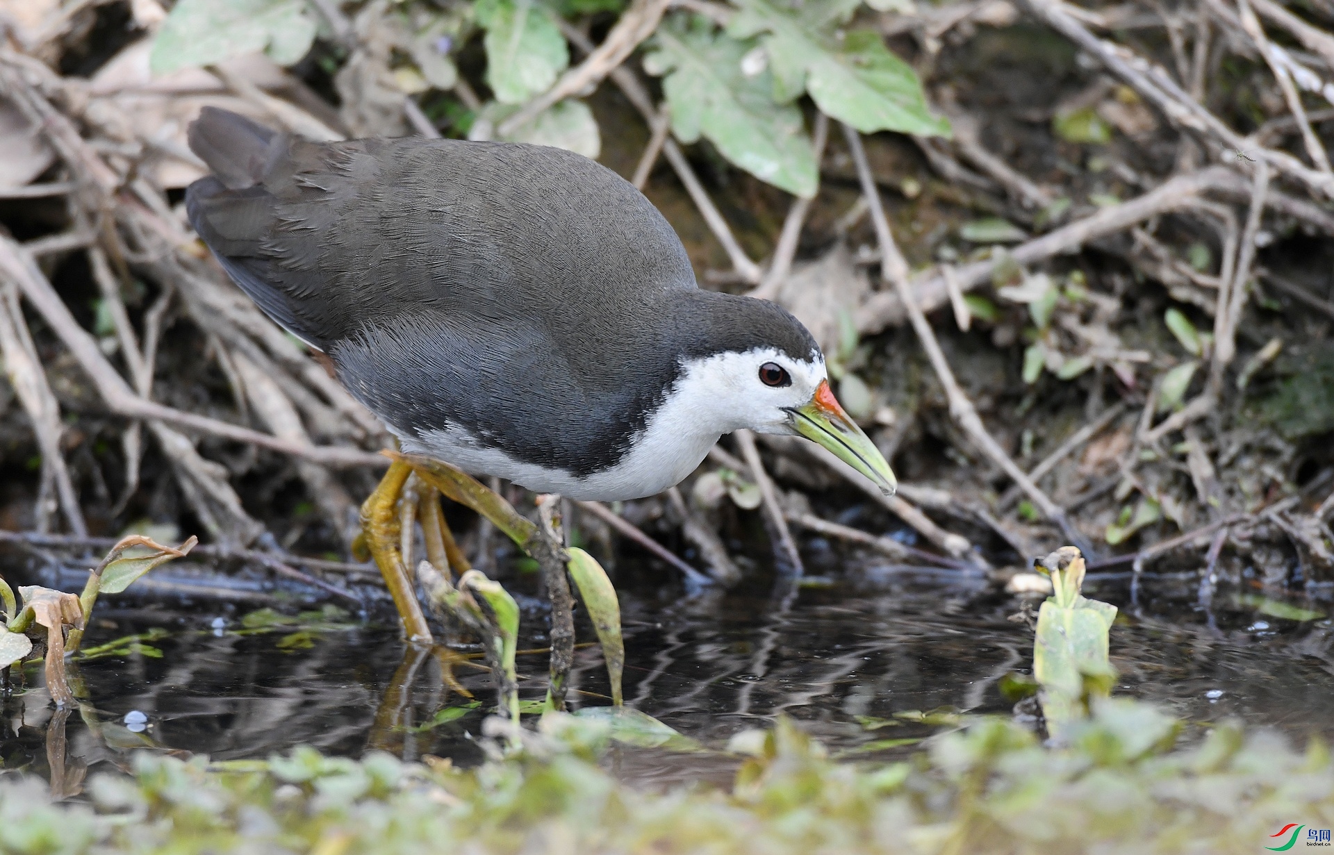 DSC_1639.jpg