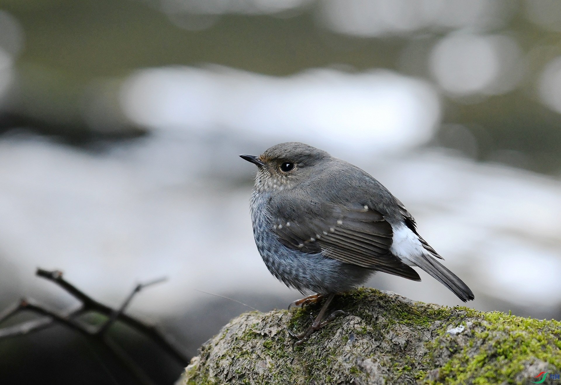 DSC_2073.jpg