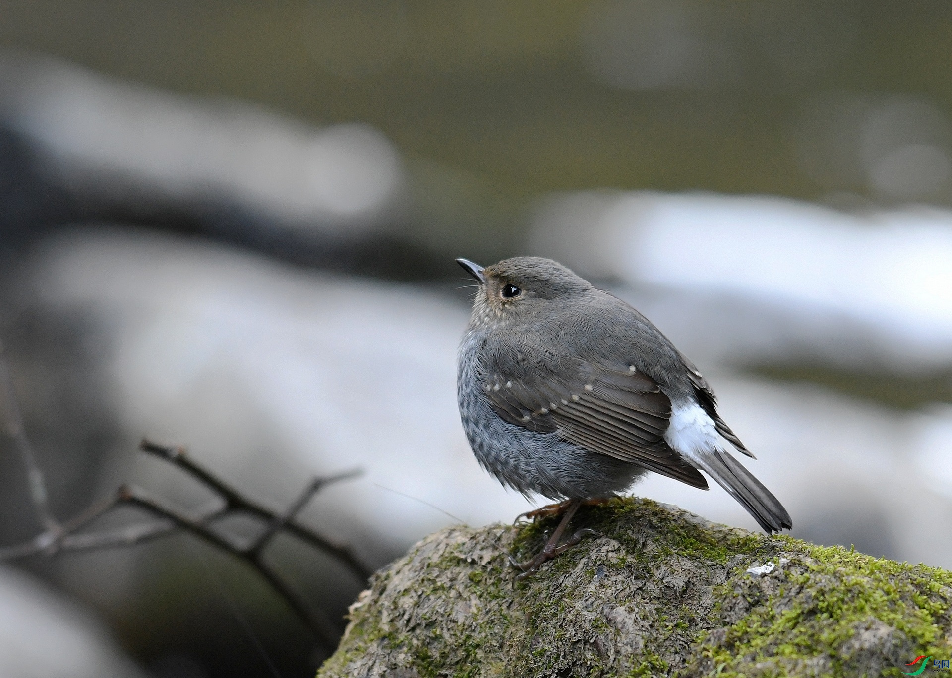 DSC_2066.jpg