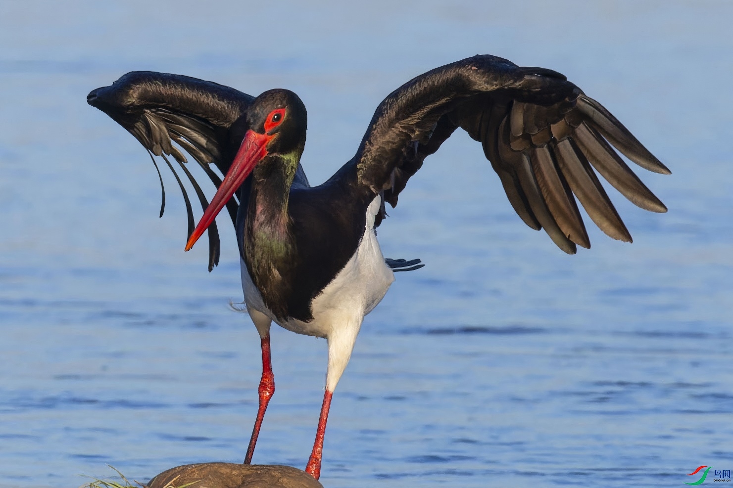 �ڹ�22-topaz-standard v2-1x.JPG