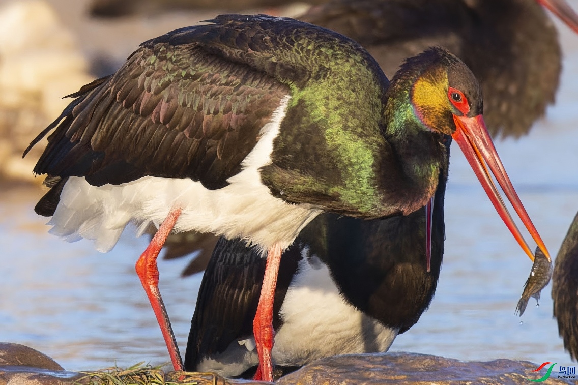 �ڹ�9-topaz-standard v2-1x.JPG