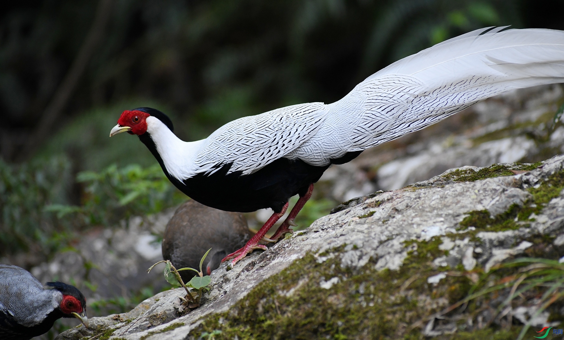 DSC_2223.jpg