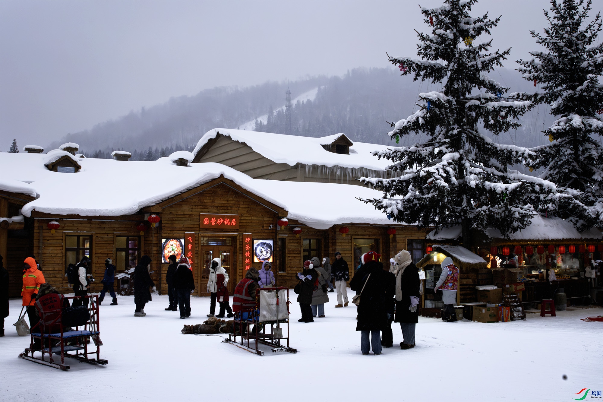 139A1473-����ǿ-NR ����.jpg