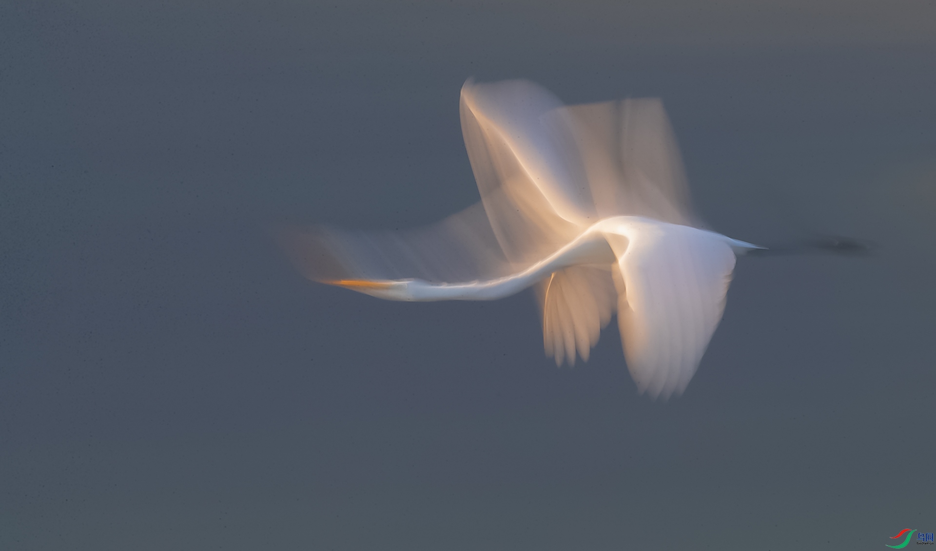 AK8I7825����  02.jpg