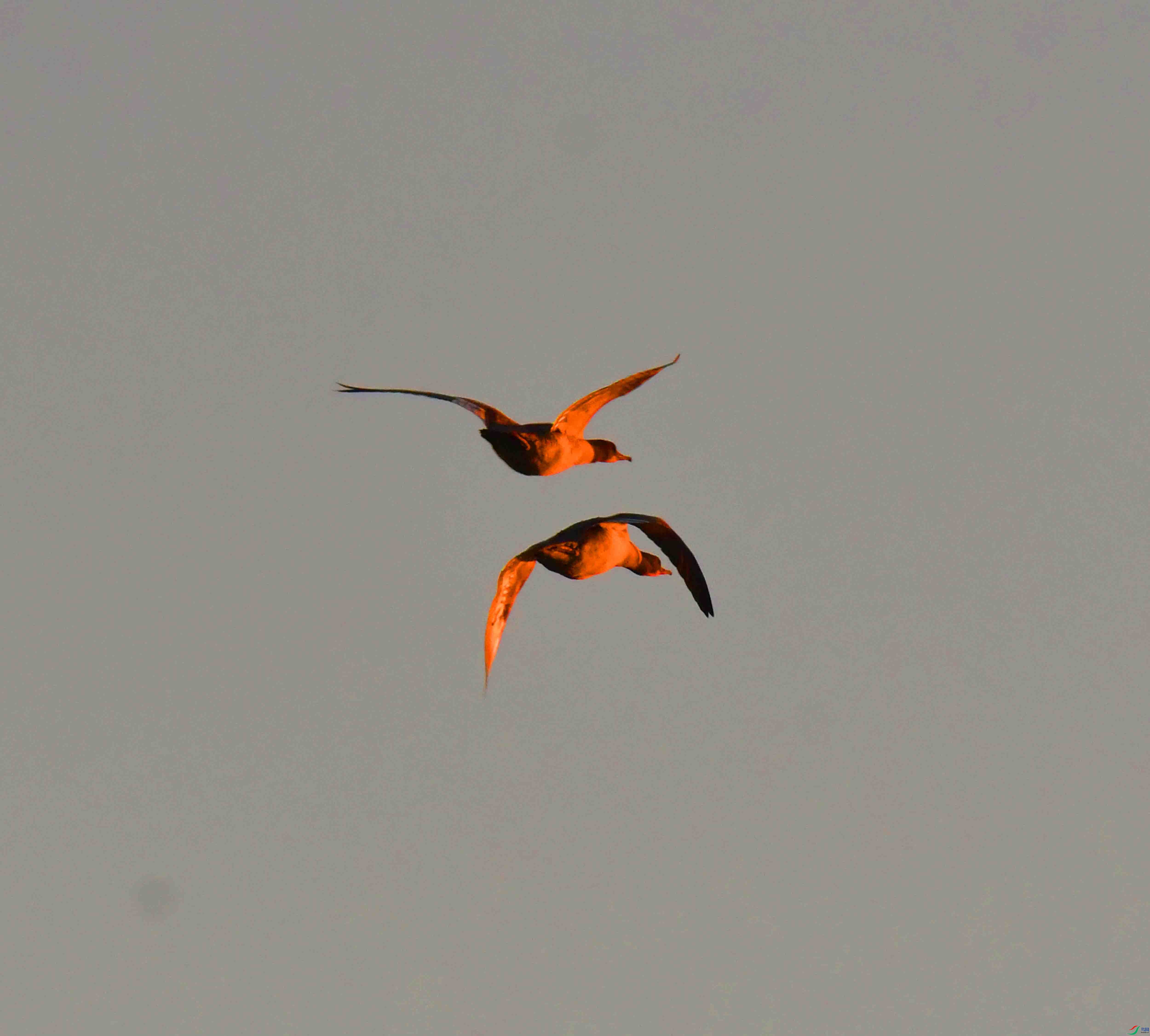 DSC_0489.JPG