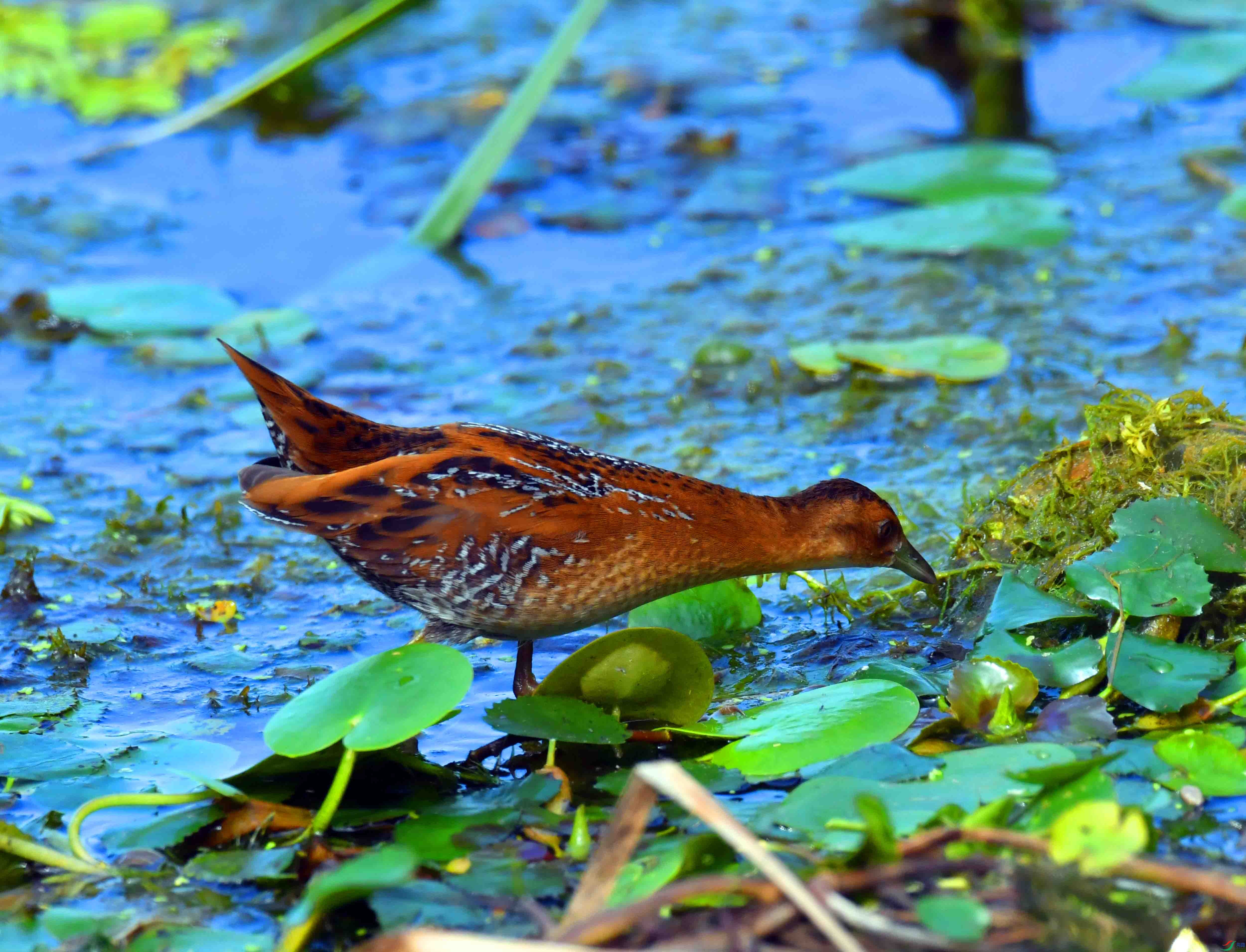 DSC_8614.JPG