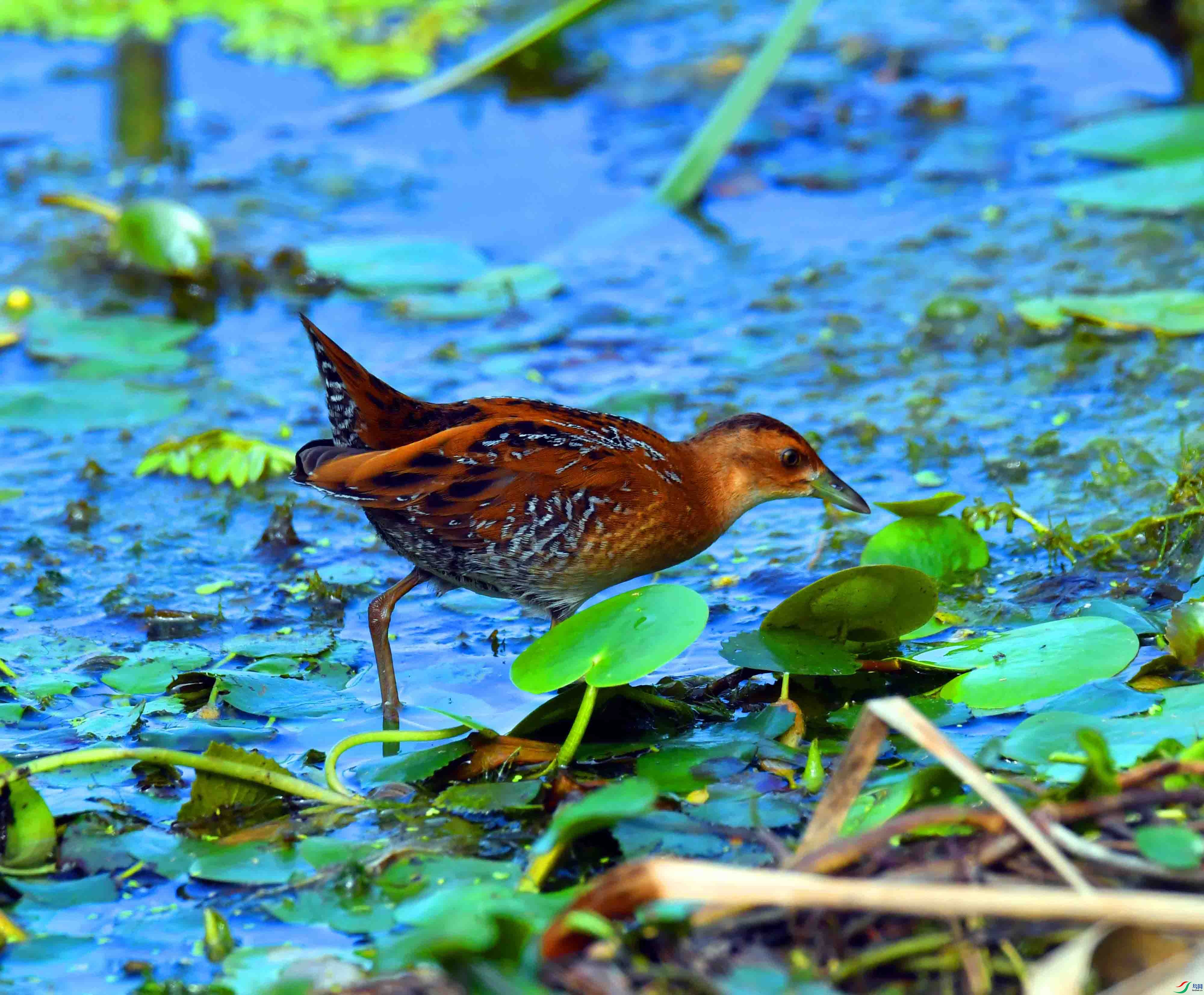 DSC_8613.JPG