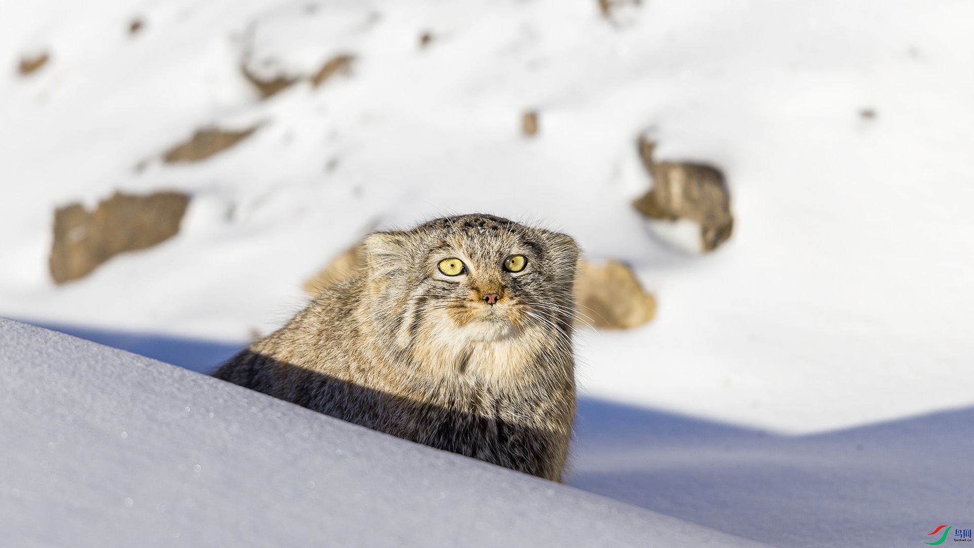 051A5505 ����n.jpg