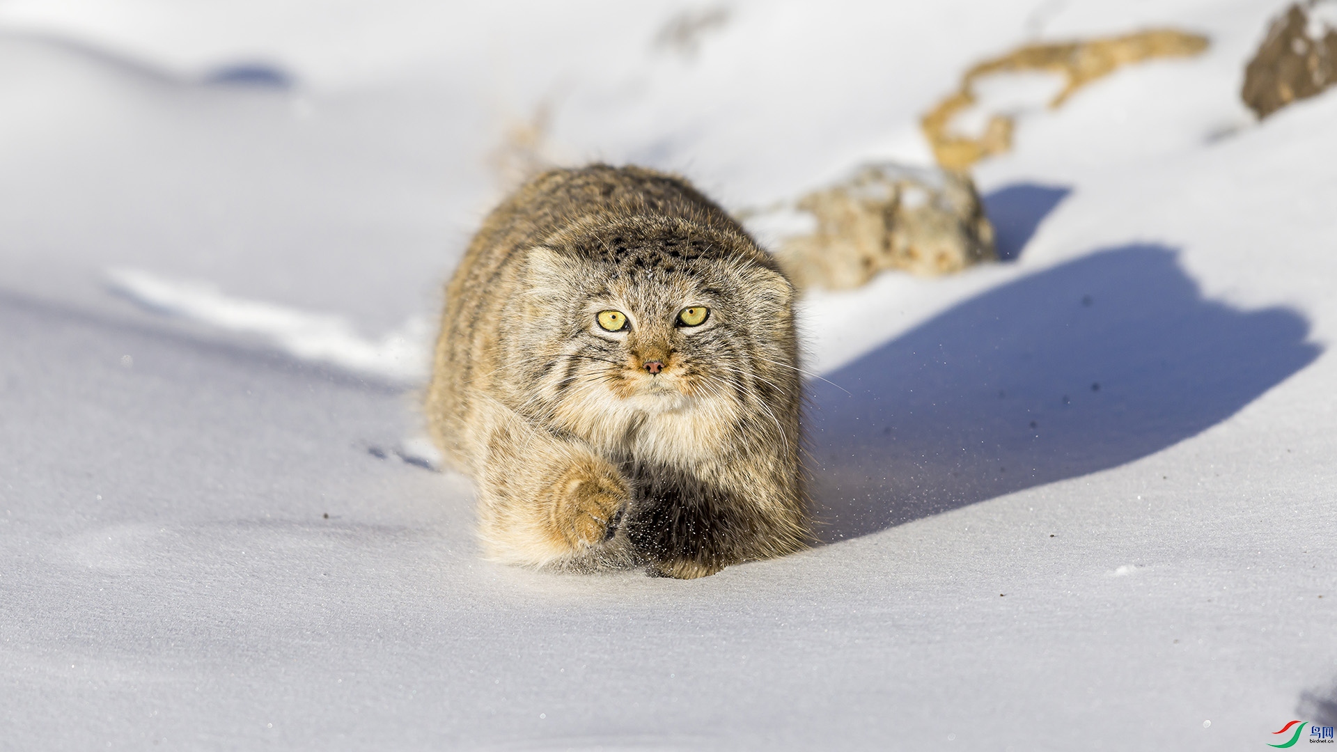 051A5619 ����n.jpg