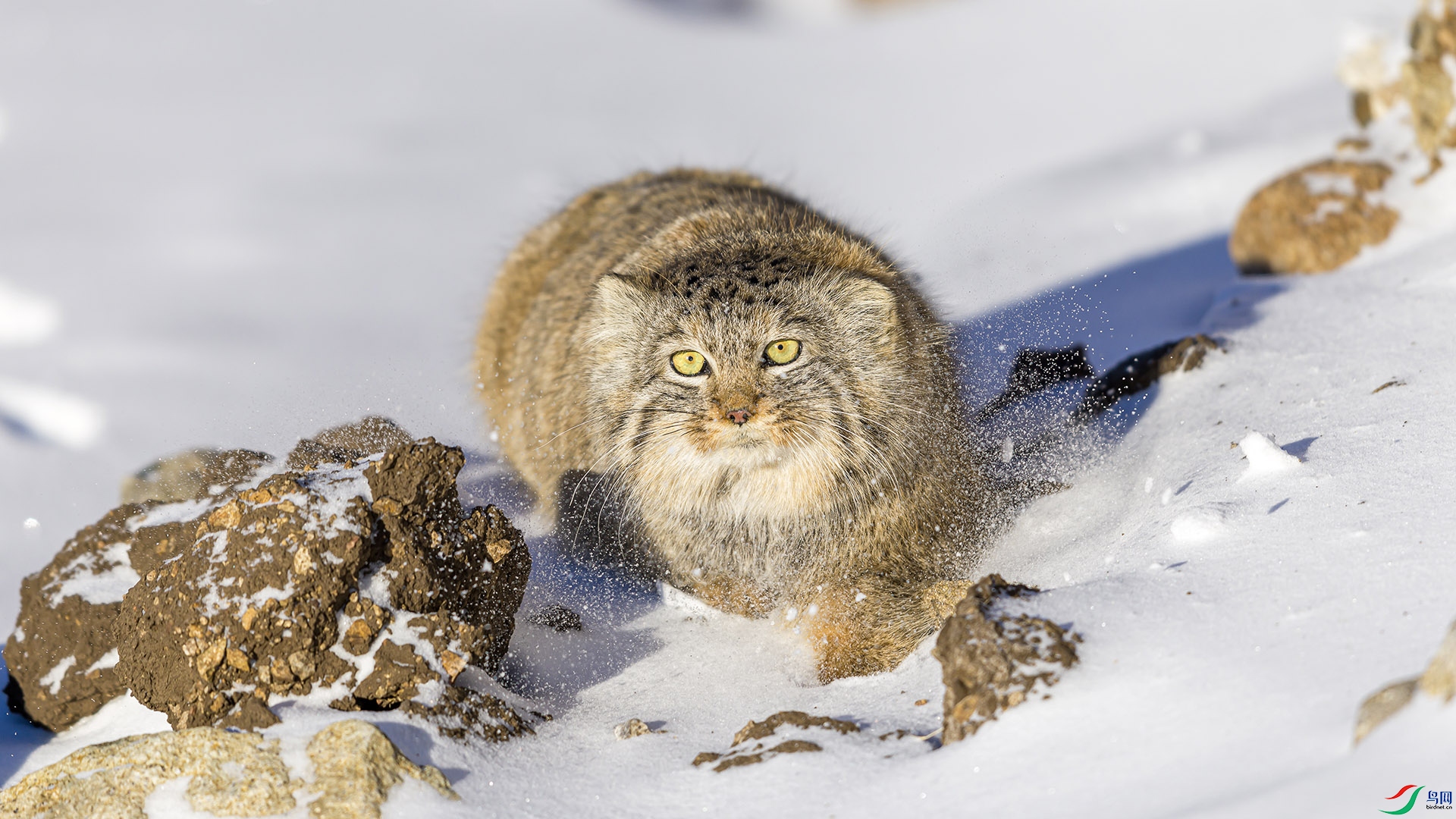 051A5660 ����n.jpg