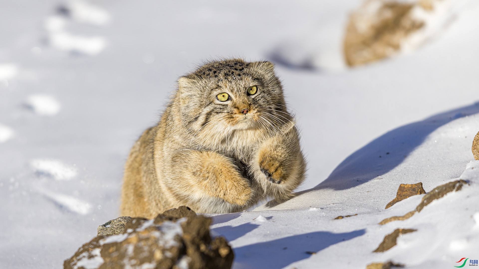 051A5654 ���� n.jpg