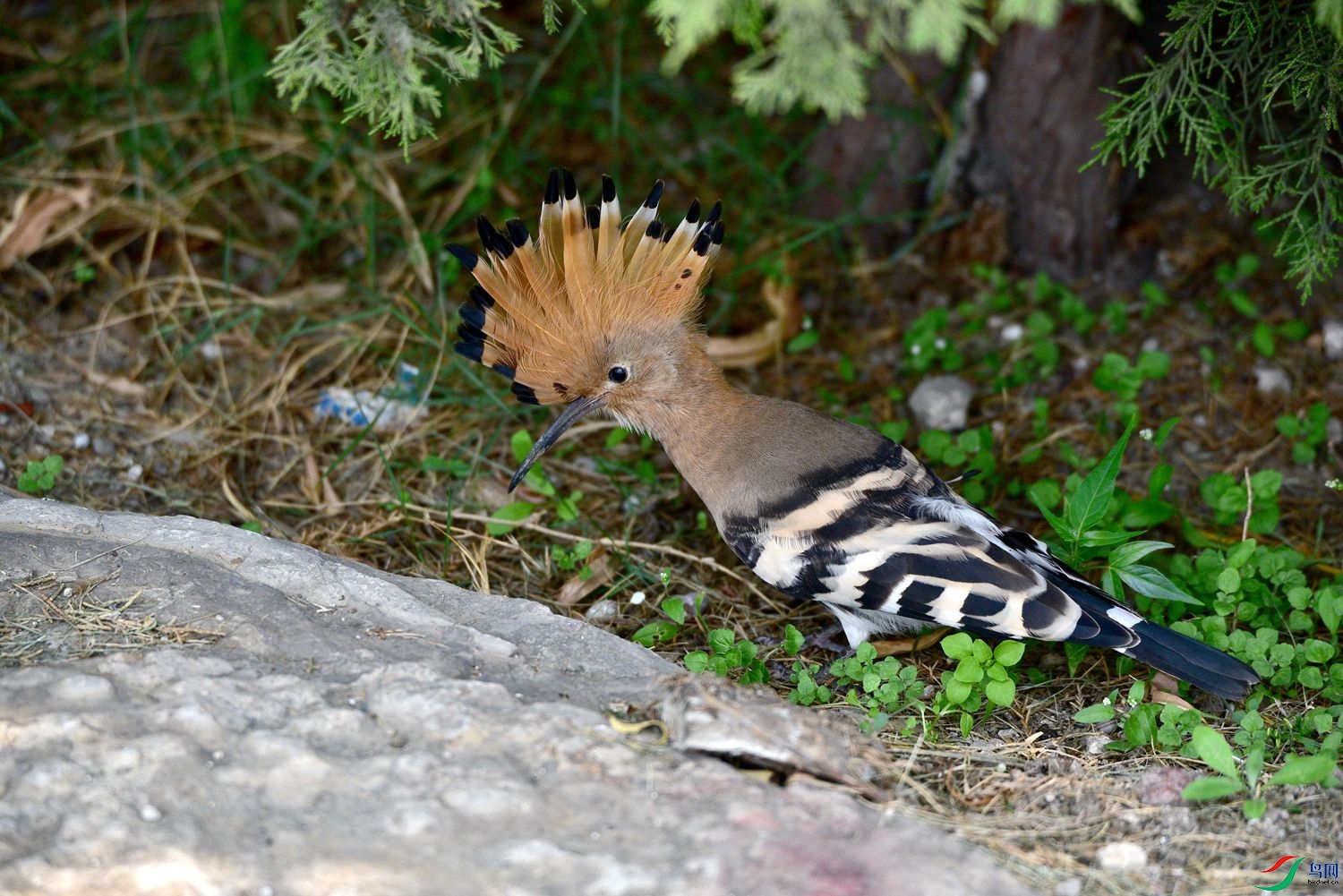 DSC_8046.JPG
