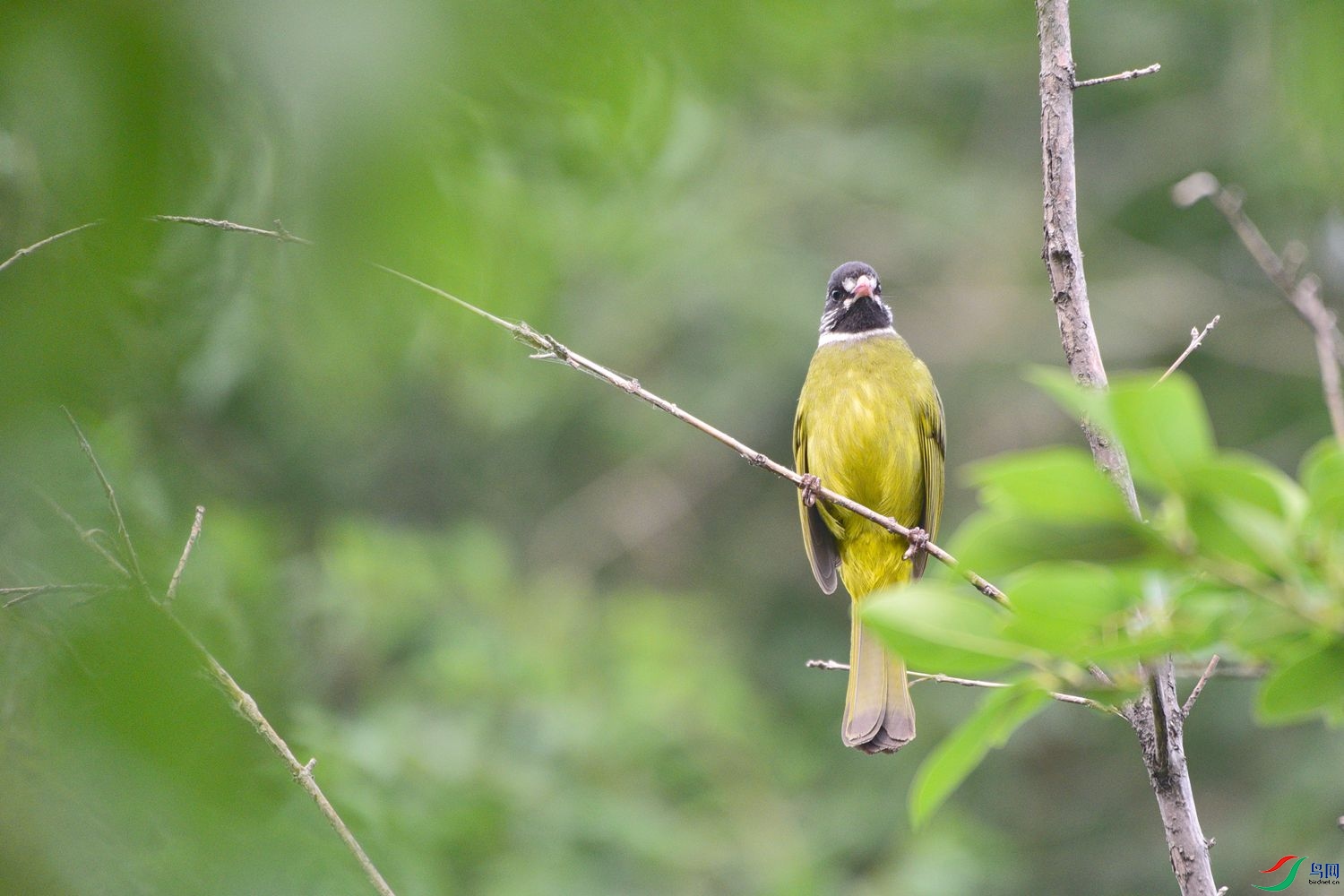 DSC_8351.JPG