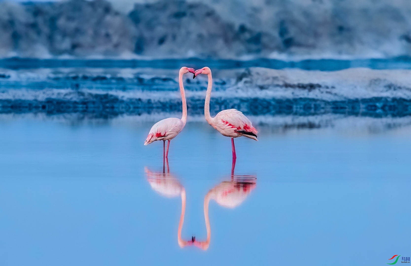 default (4) ���� 2.jpg