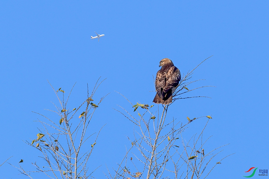 DSC_2498.jpg