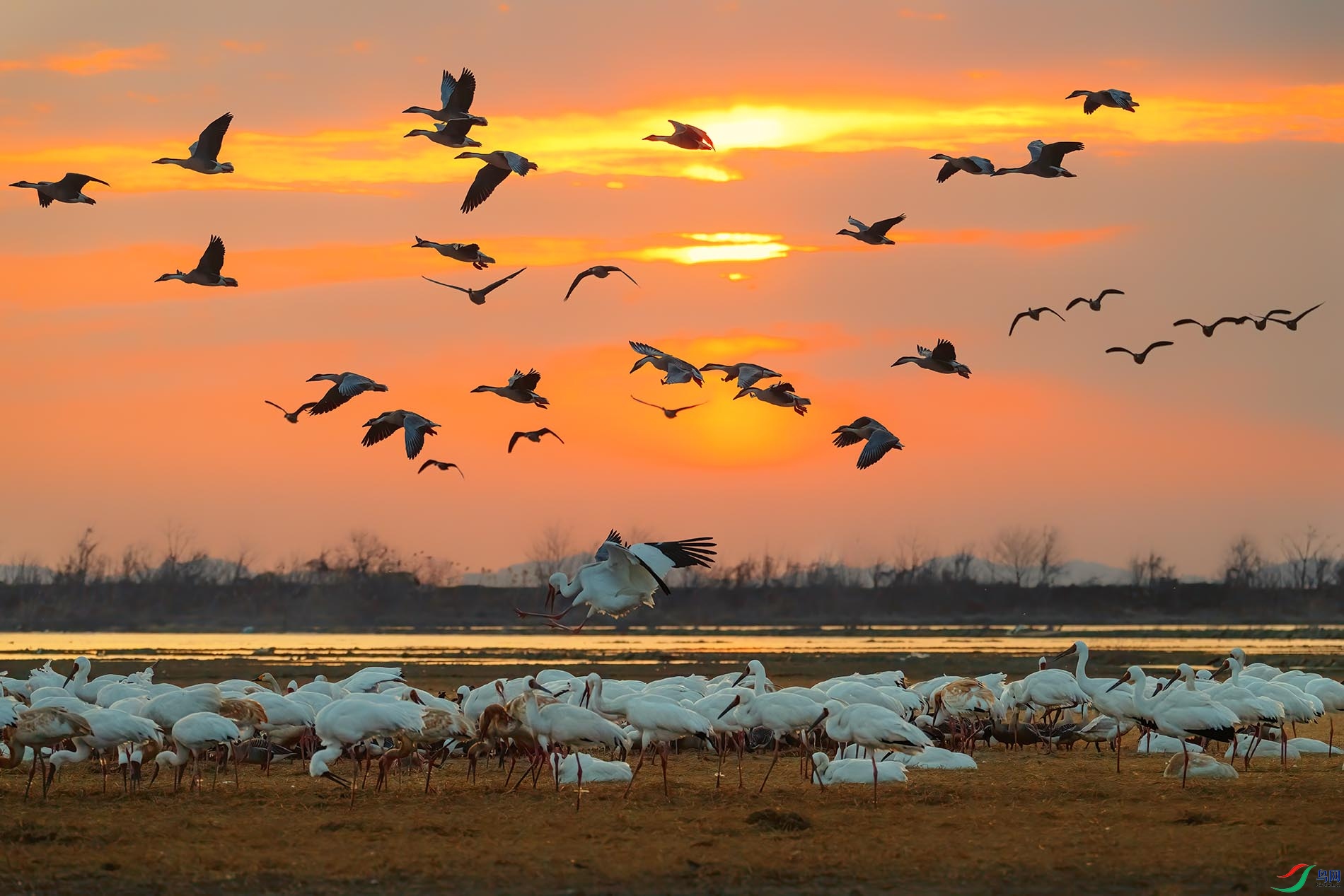 ����ϼ��۶����