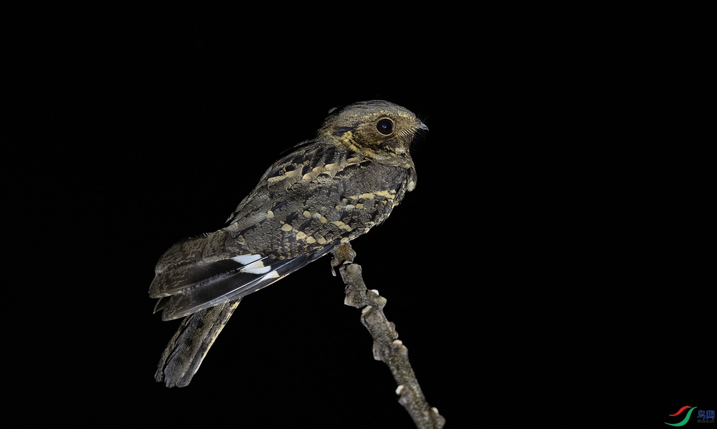 _DSC4534 ����.jpg