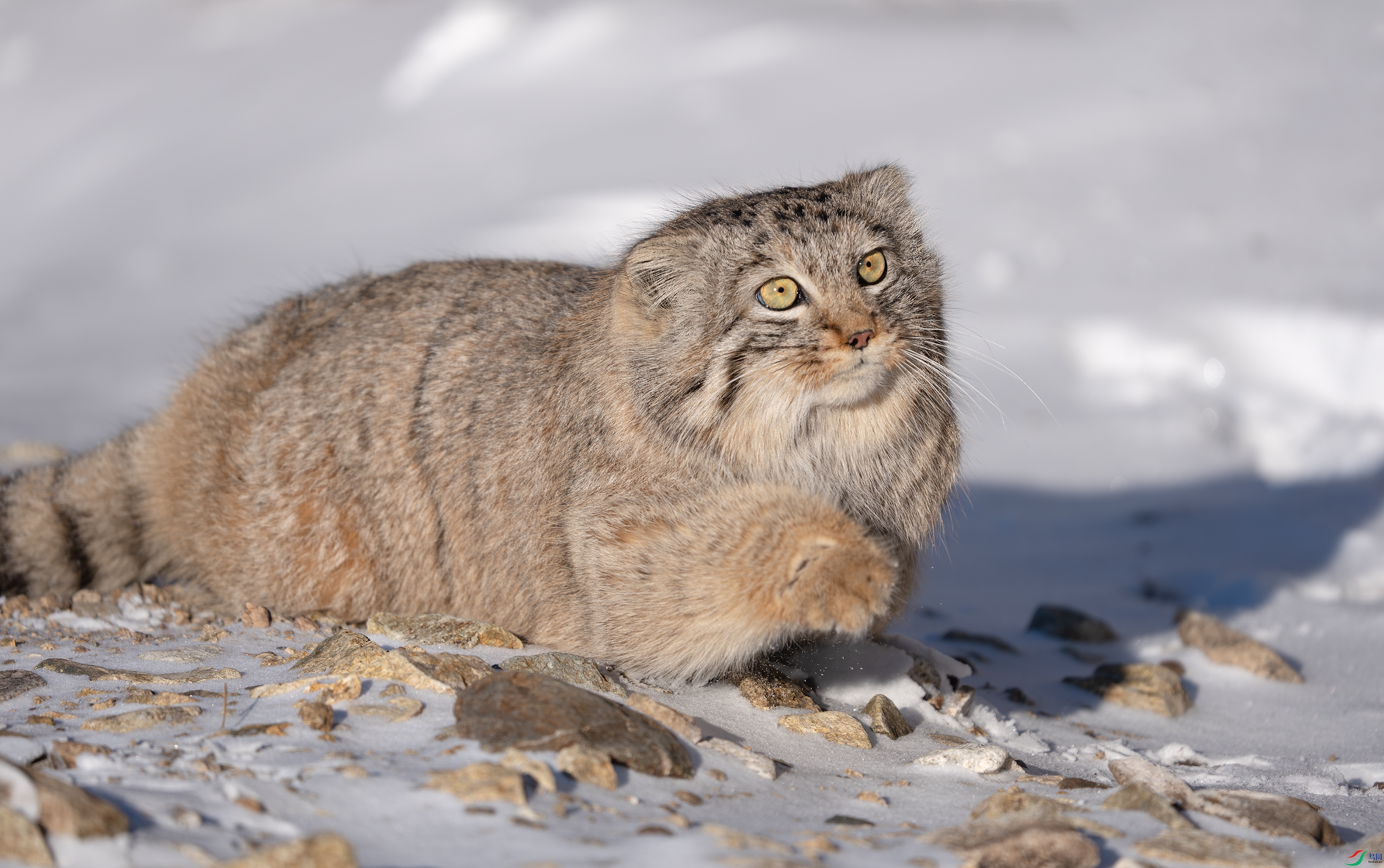 _DSC9869-2 ����.jpg