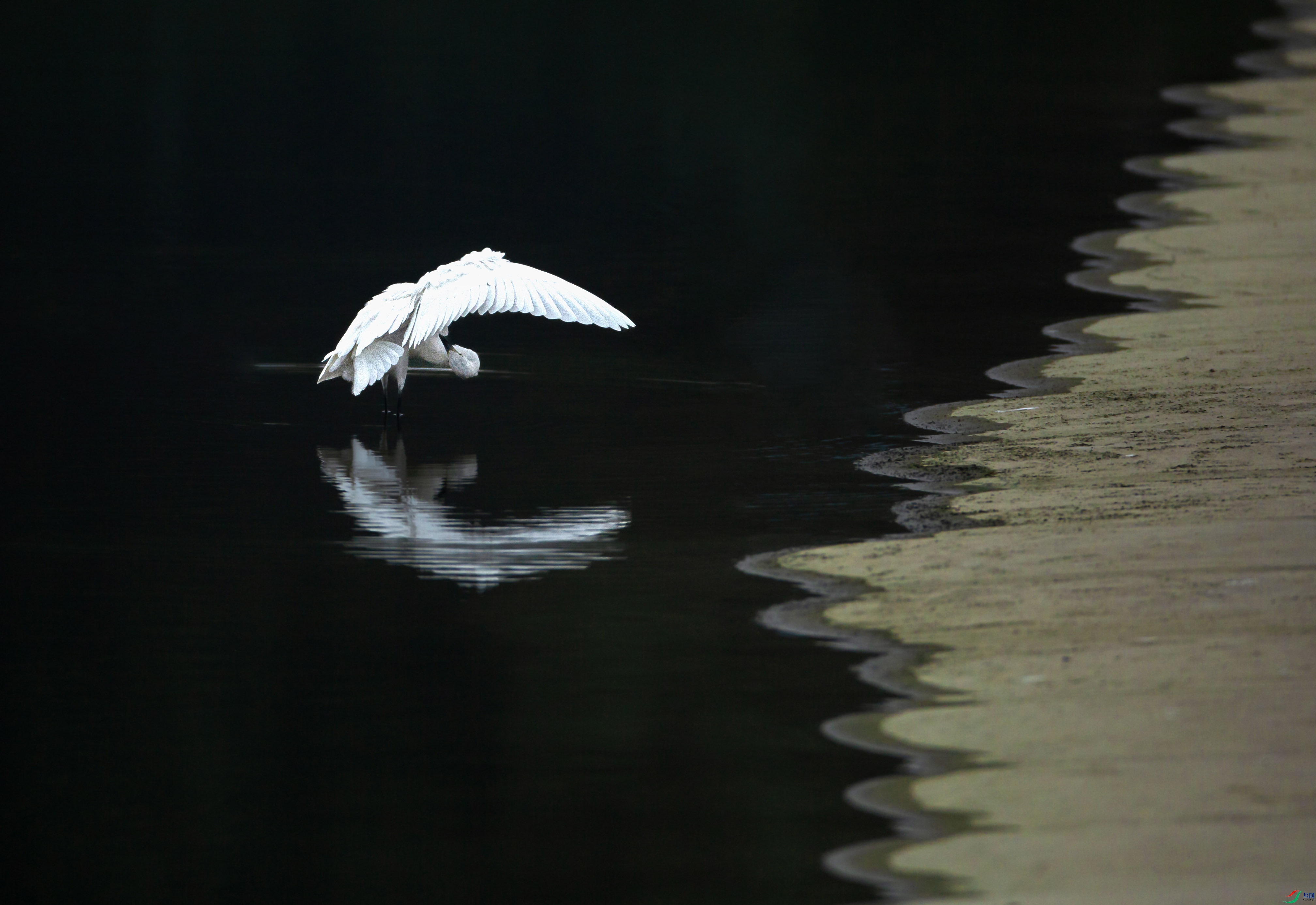 673A9730 ����.jpg