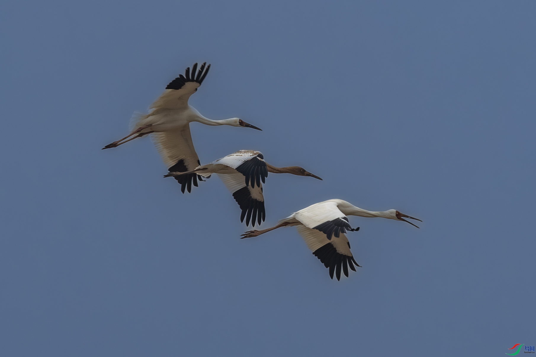 4K2A3652-�׺�001.jpg
