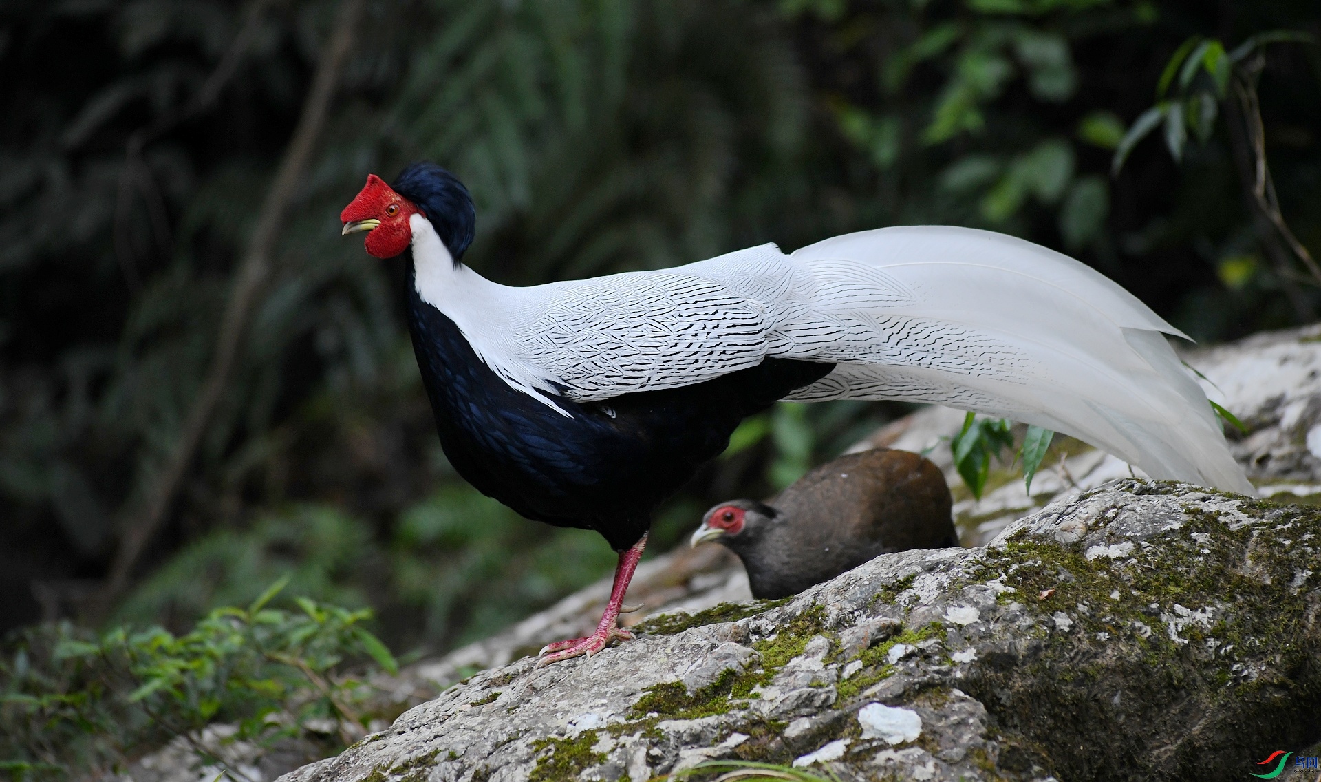 DSC_2908.jpg