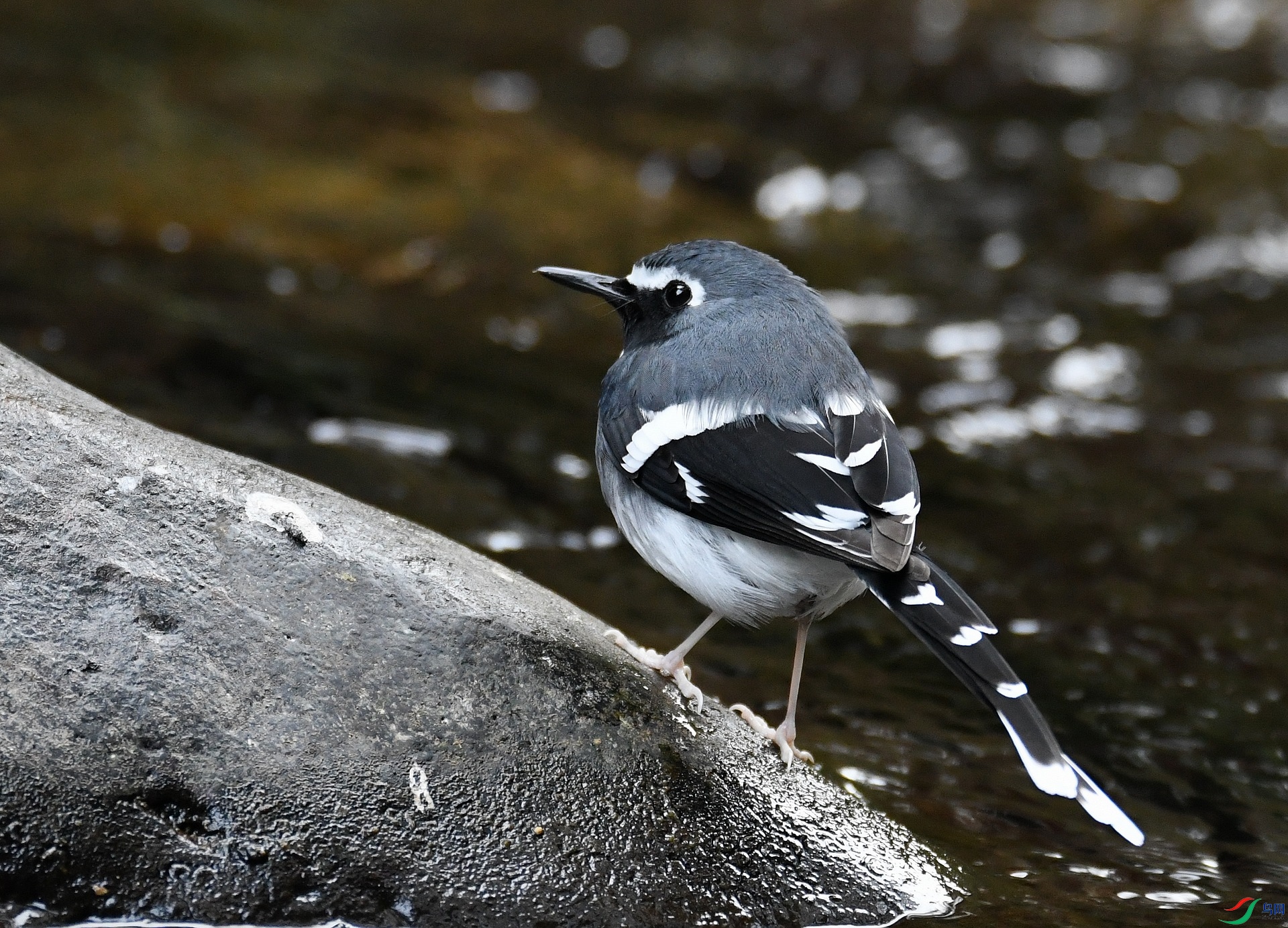 DSC_4989.jpg