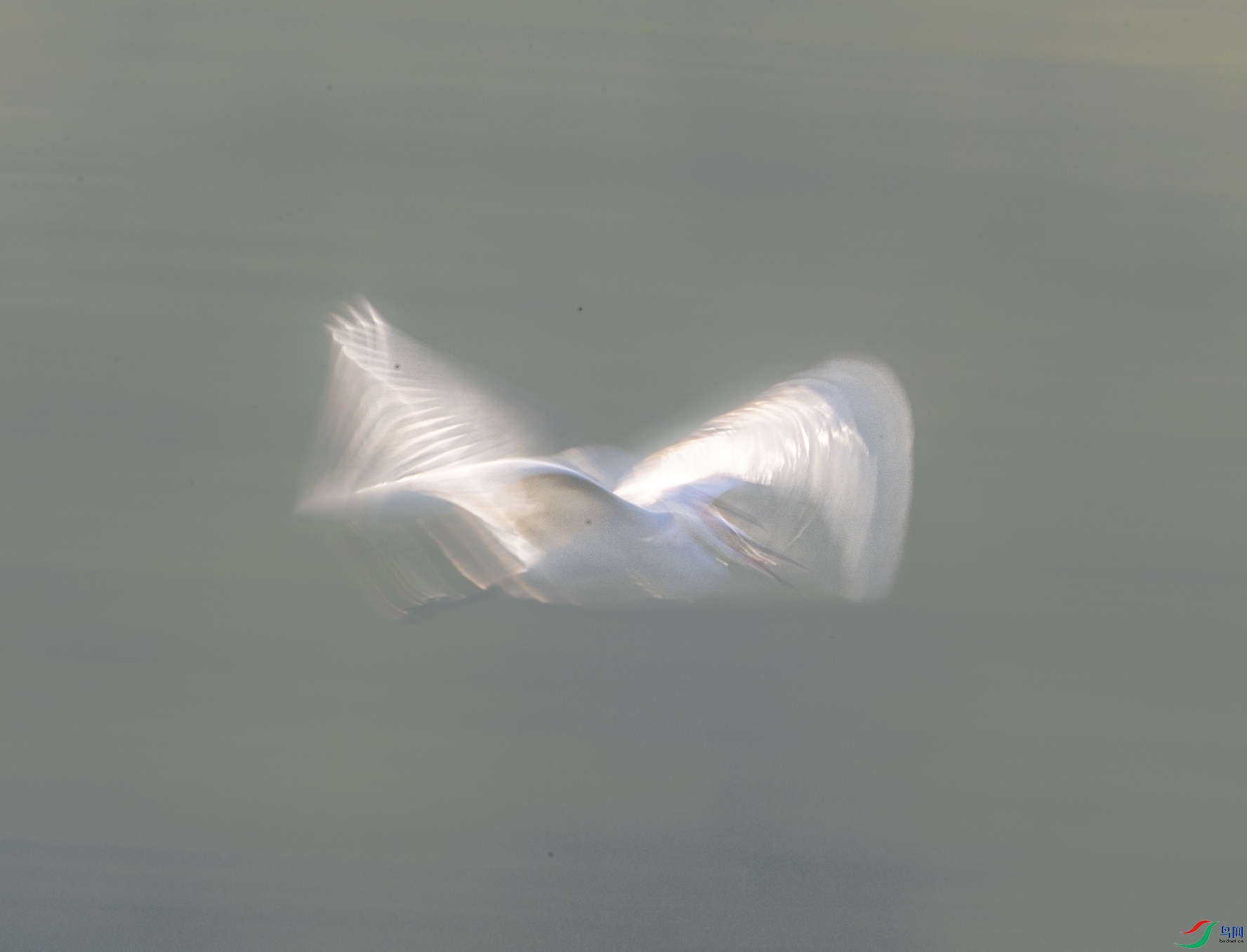 A79I3982 ����.jpg