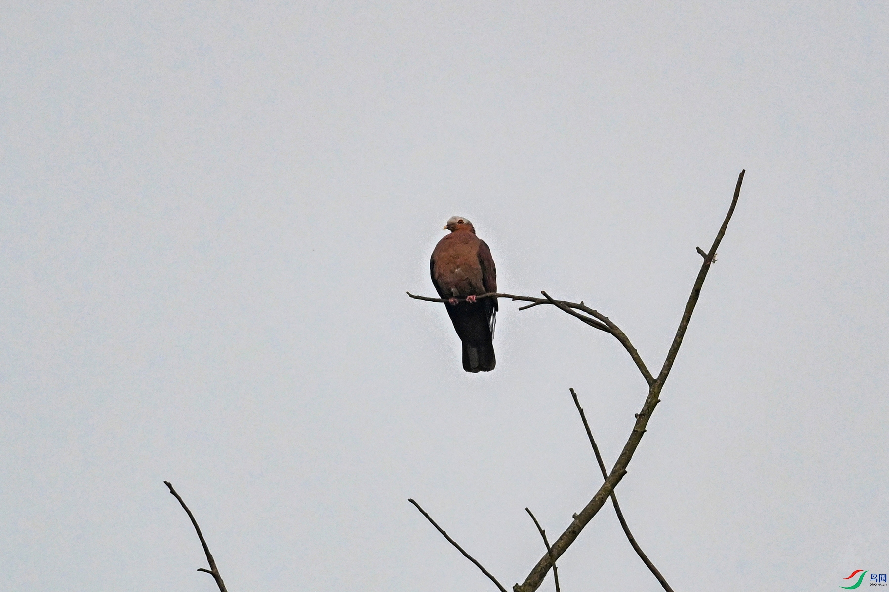 DSC_5995.JPG