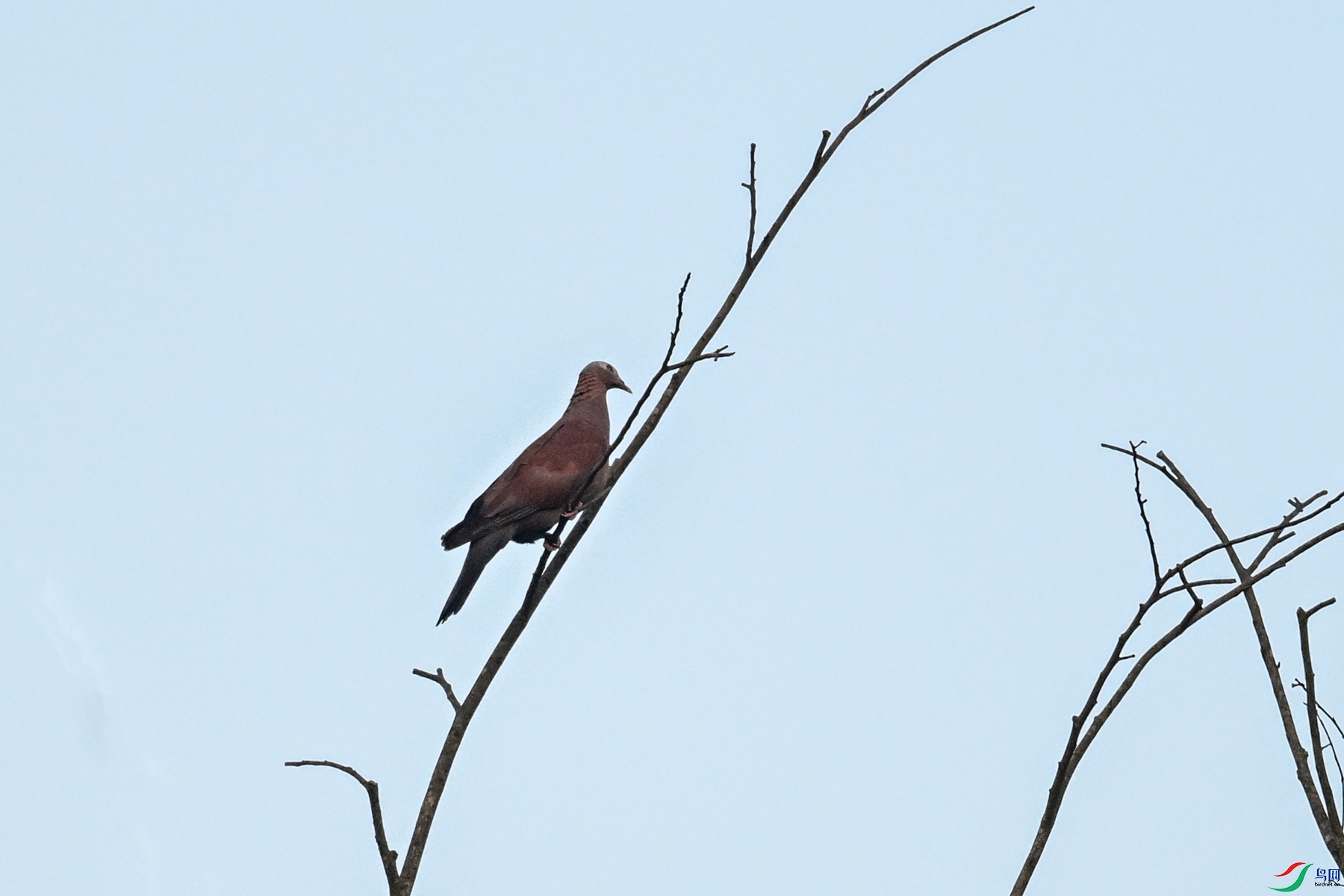 DSC_6001.JPG